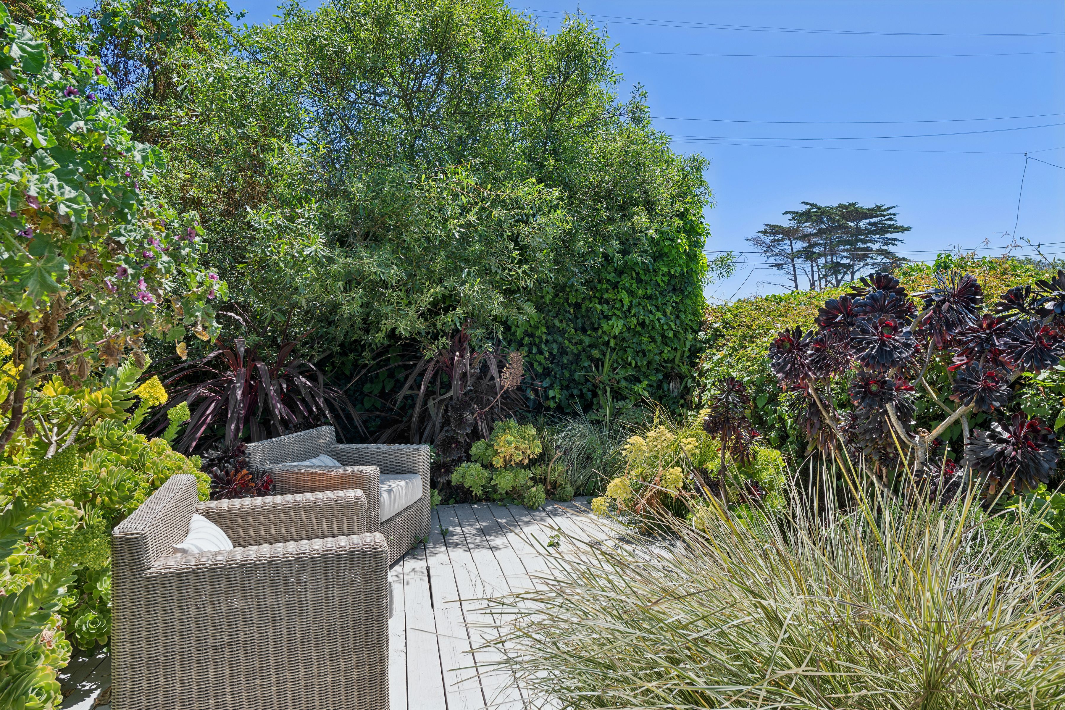  Your Stinson Beach Dream Awaits - 物件實景
