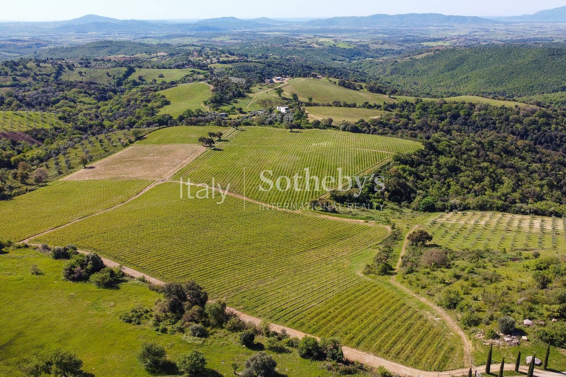  Exclusive wine estate in the Tuscan hills - 物件實景