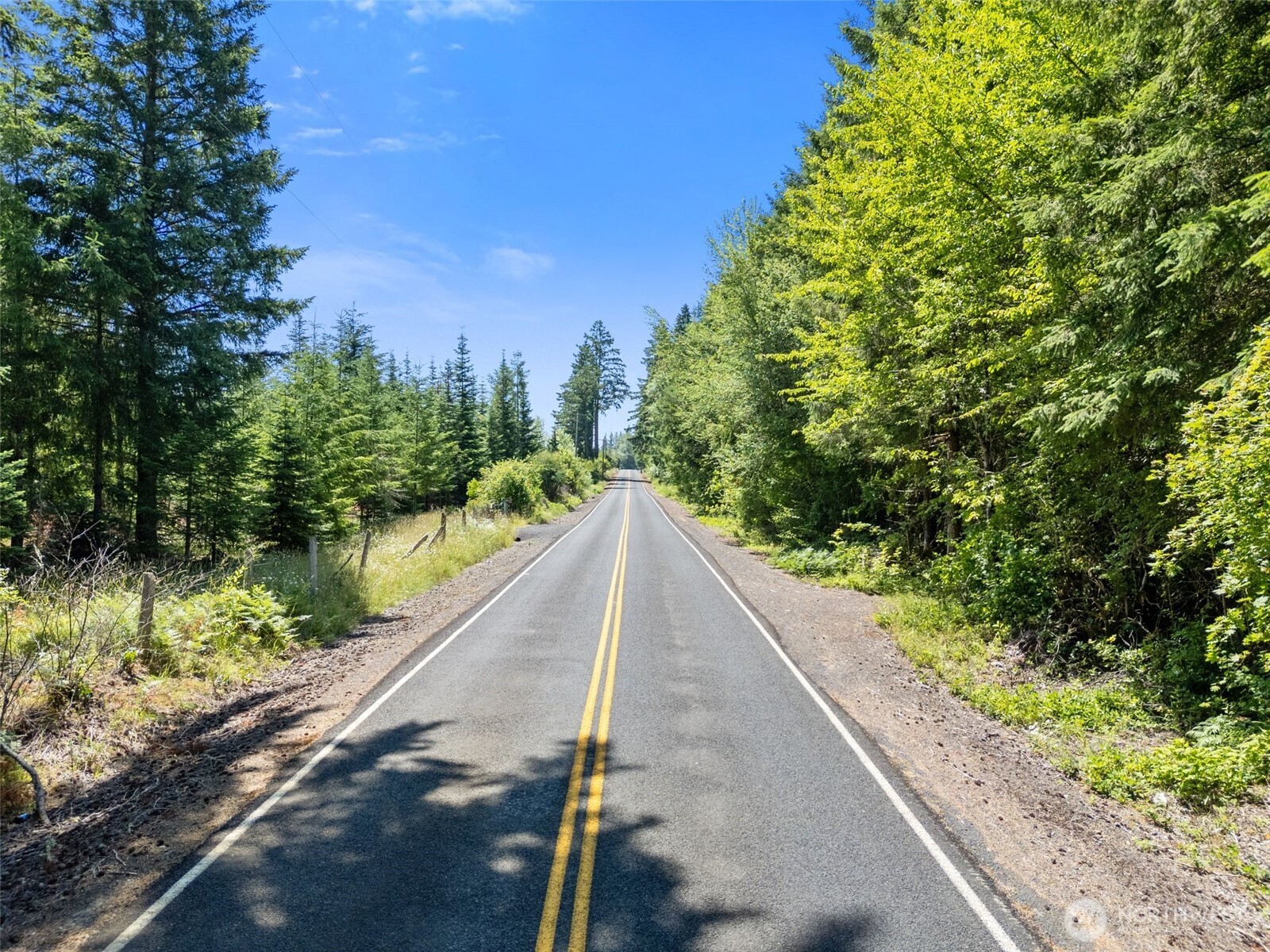 Ethel, Washington, 98542, United States, ,Residential,For Sale,1936927