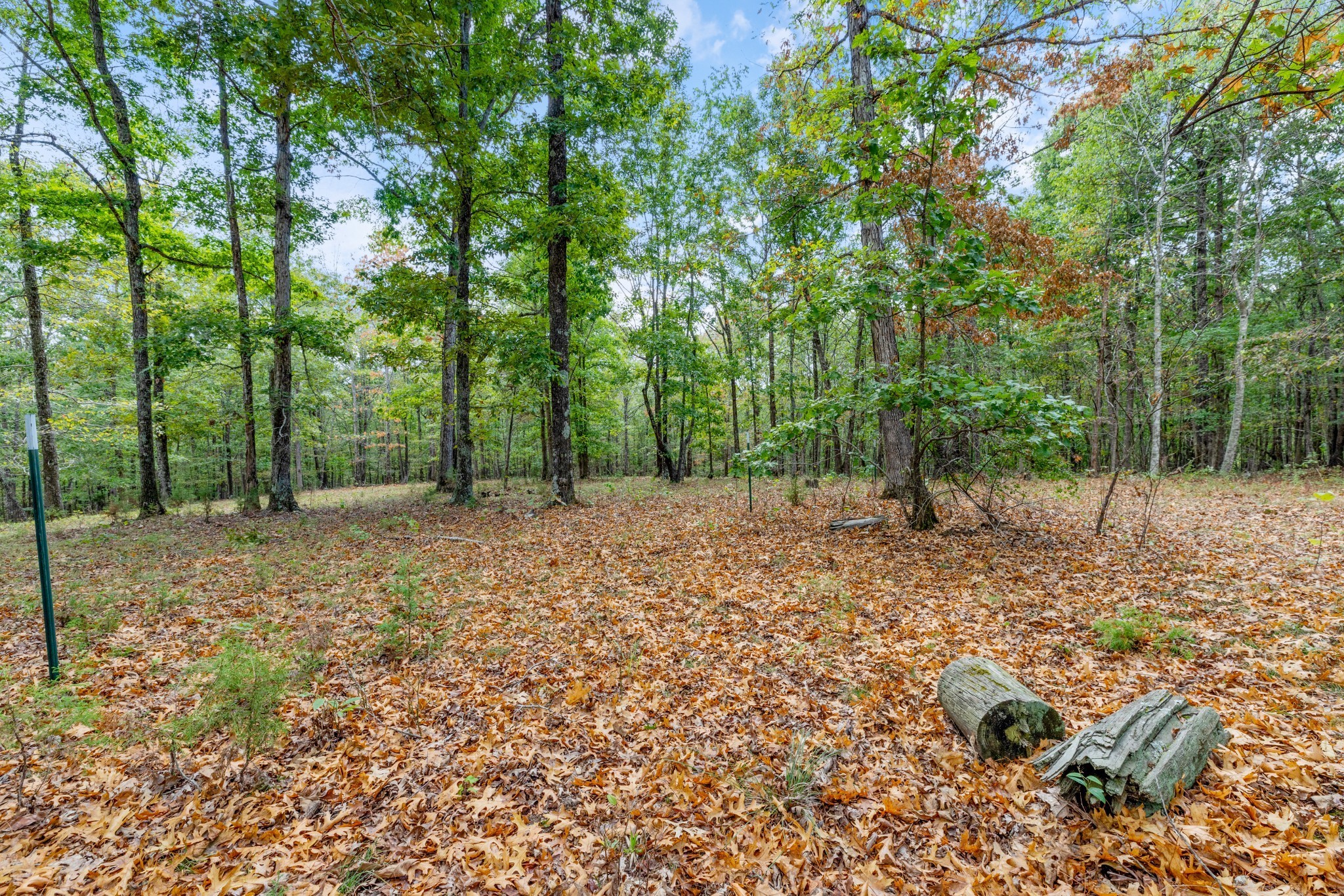 Mc Ewen, Tennessee, 37101, United States, ,Residential,For Sale,1923664