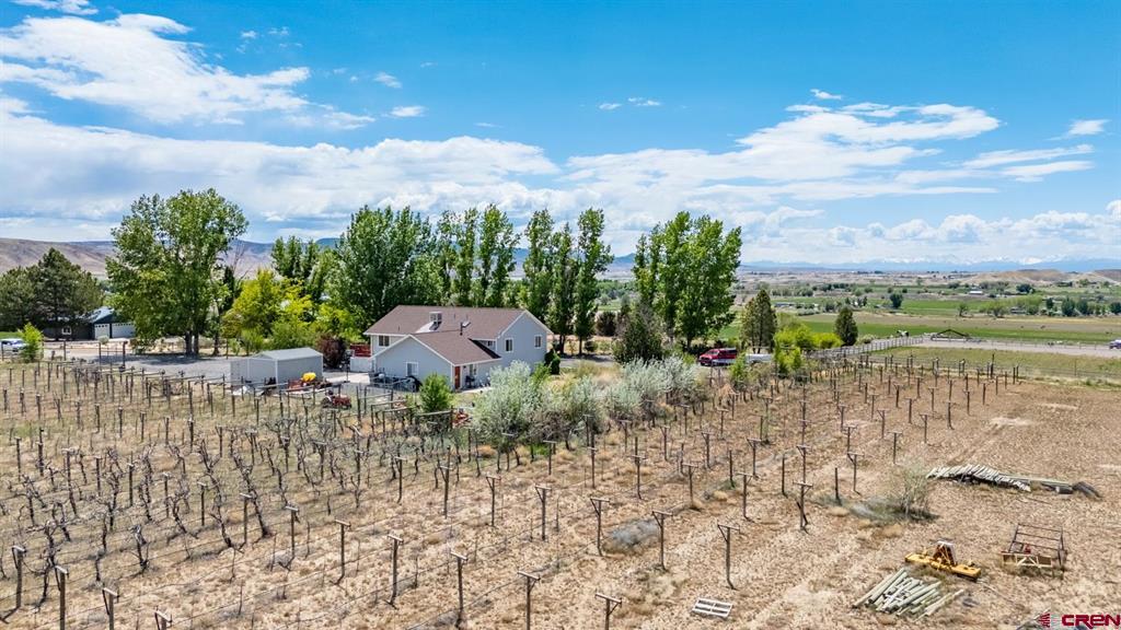 Austin, Colorado, 81410, United States, 4 Bedrooms Bedrooms, ,3 BathroomsBathrooms,Residential,For Sale,1976100