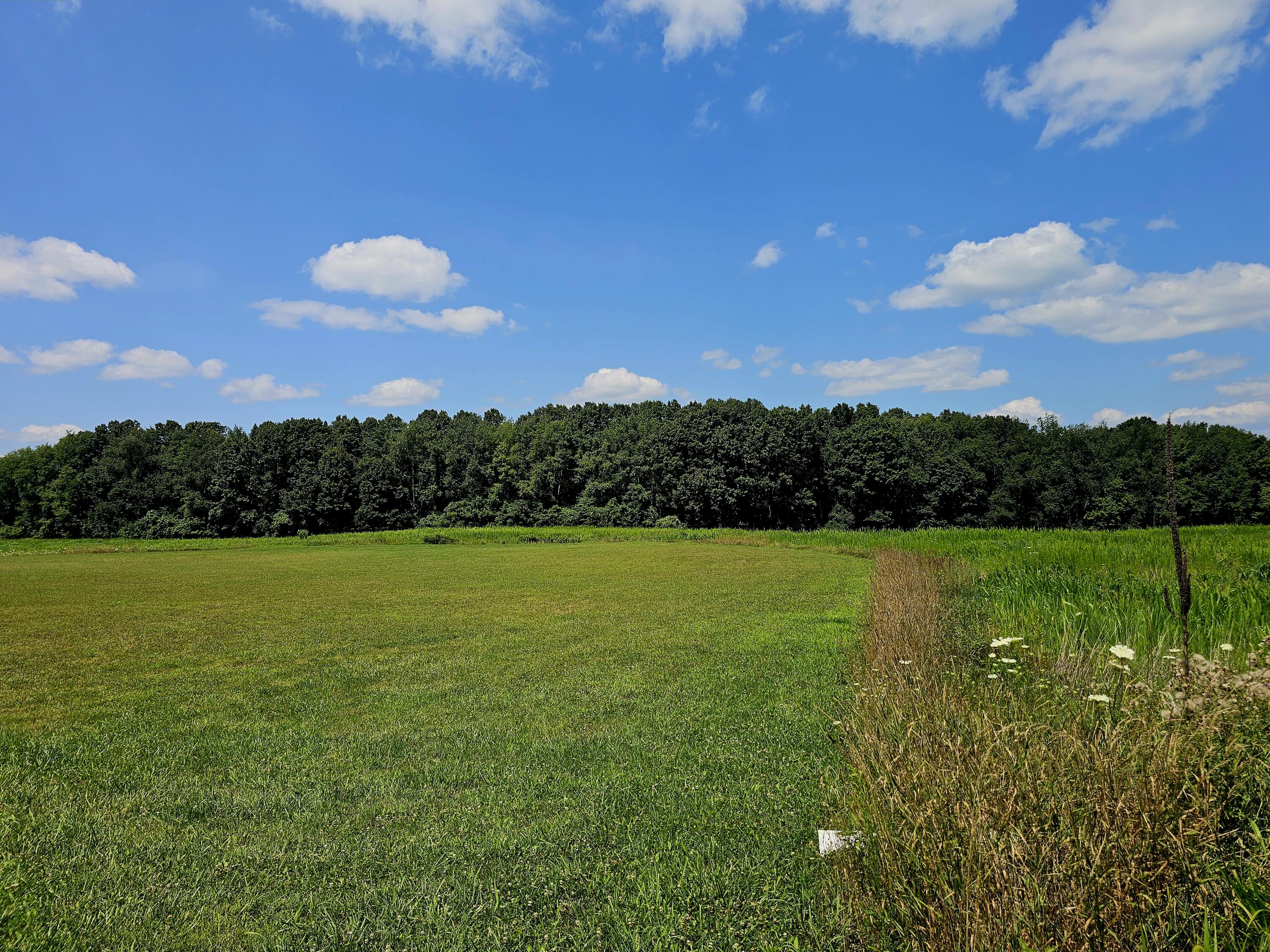 Jonesville, Michigan, 49250, United States, ,Land,For Sale,1975283