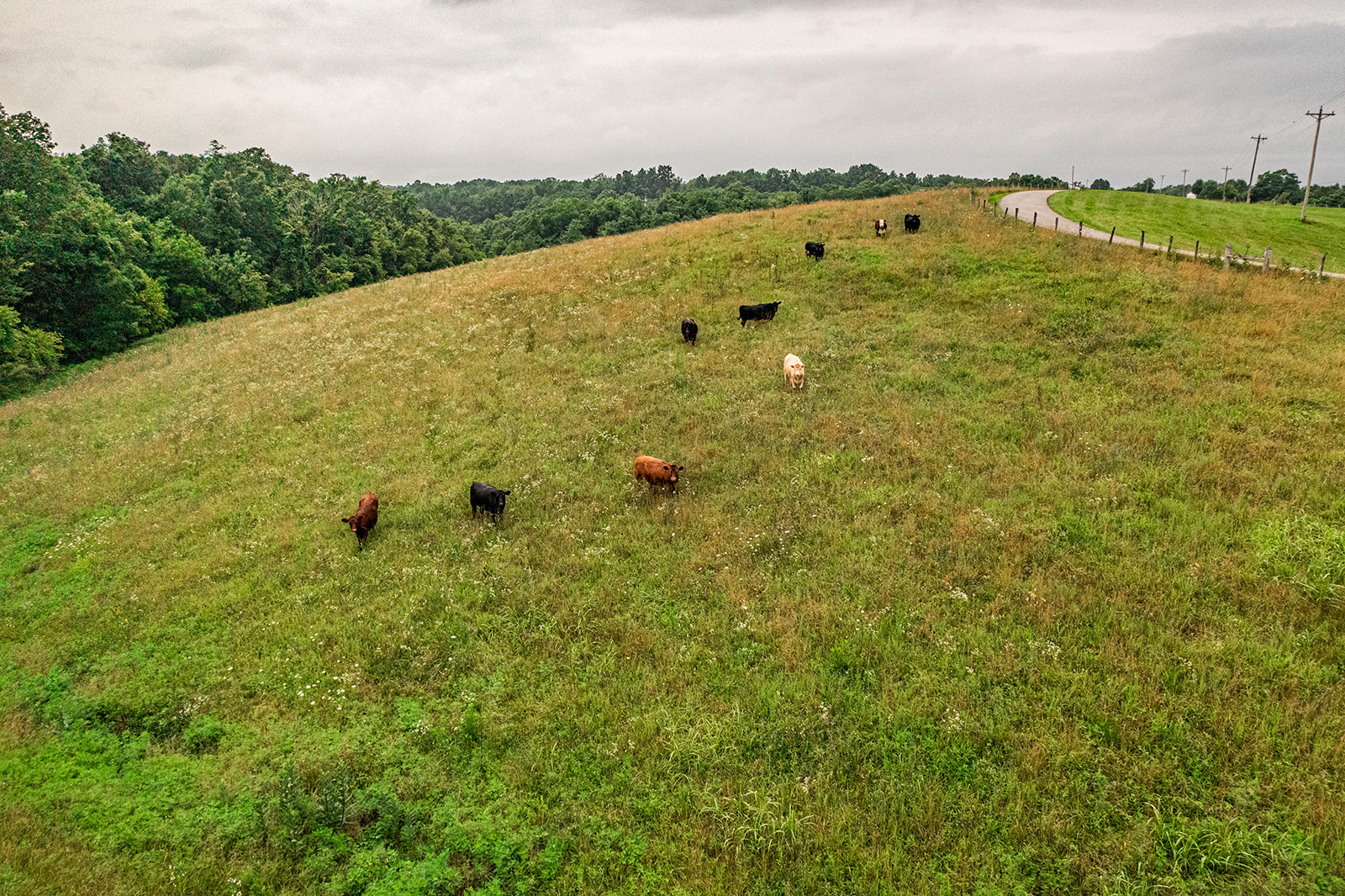 Lawrenceburg, Kentucky, 40342, United States, ,Residential,For Sale,1930802
