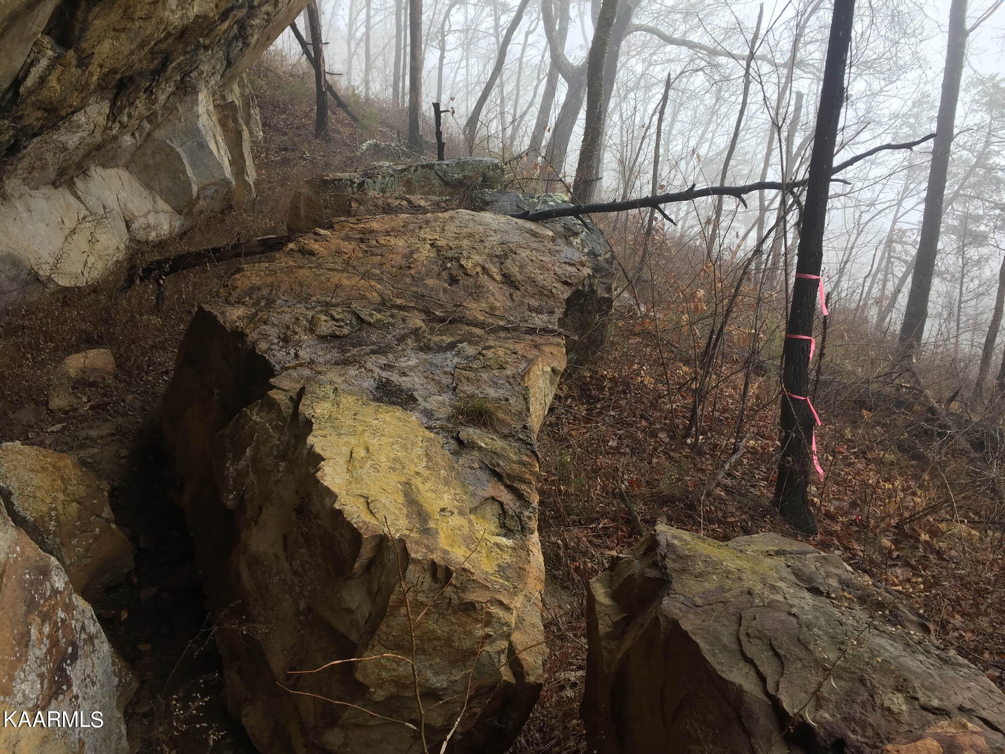 Pikeville, Tennessee, 37367, United States, ,Residential,For Sale,1943070