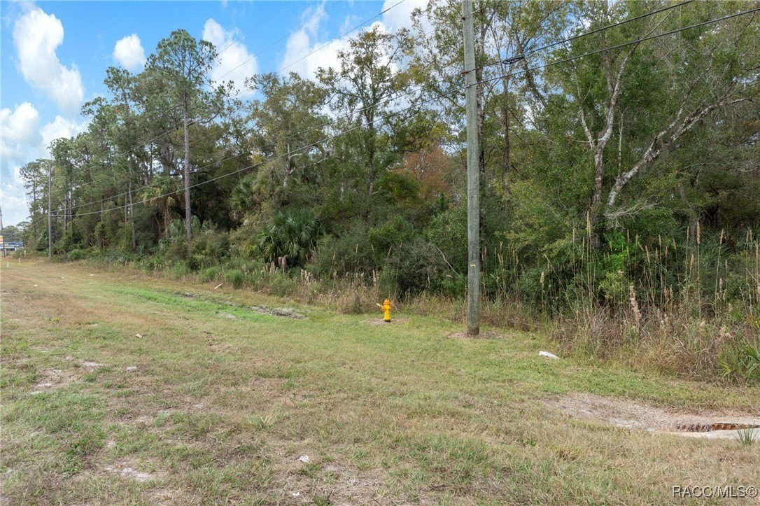 Crystal River, Florida, 34428, United States, ,Land,For Sale,2006074