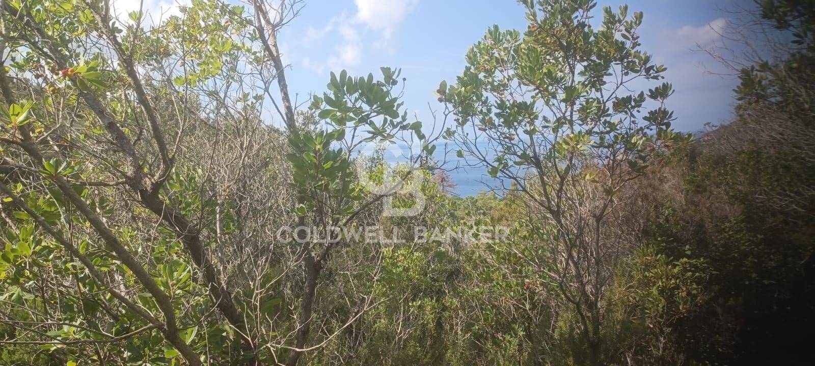 Portoferraio - Isola d'Elba, Livorno, 57037, IT, ,Residential,For Sale,1745102