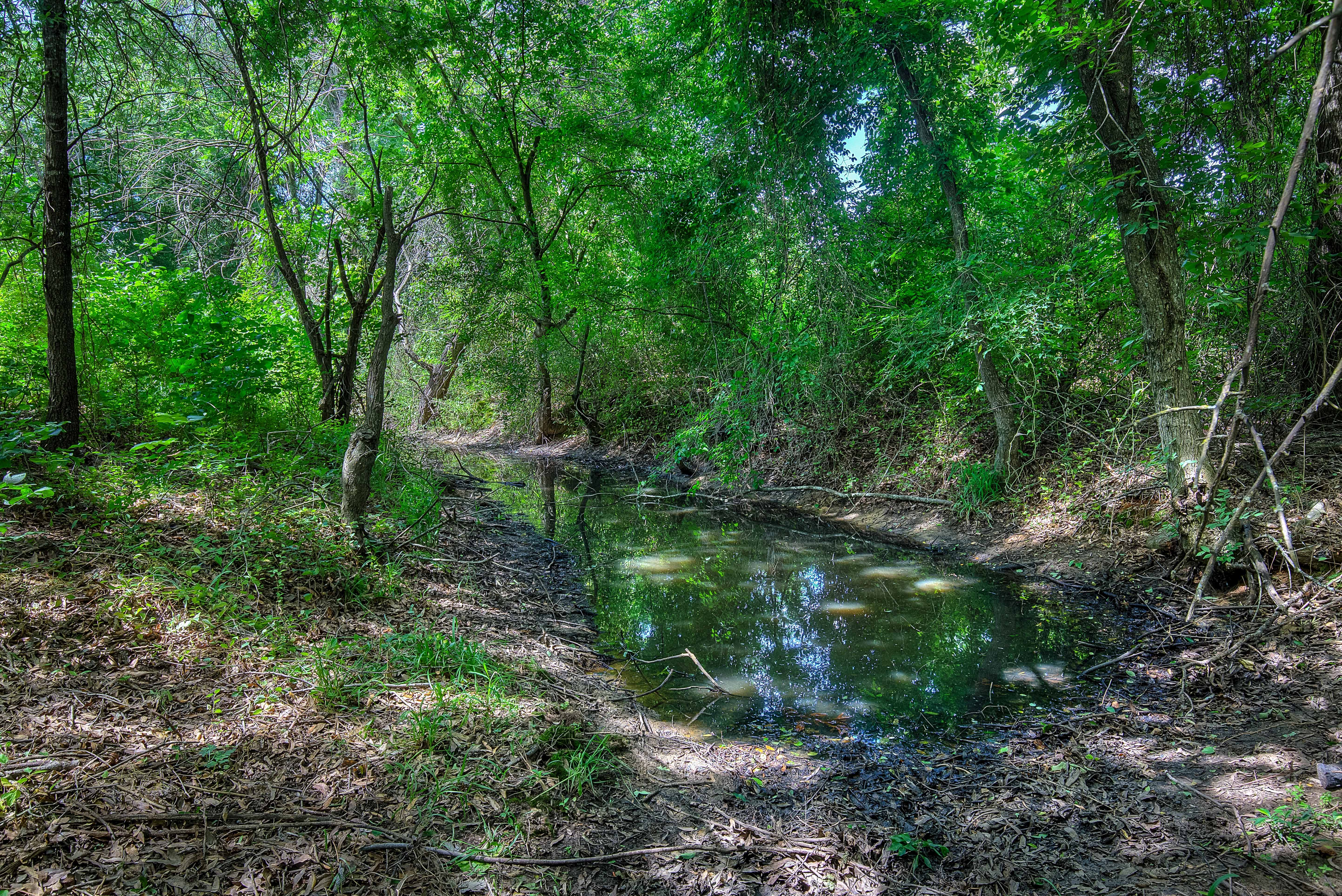 Sulphur Springs, Texas, 75482, United States, 4 Bedrooms Bedrooms, ,4 BathroomsBathrooms,Residential,For Sale,1981716