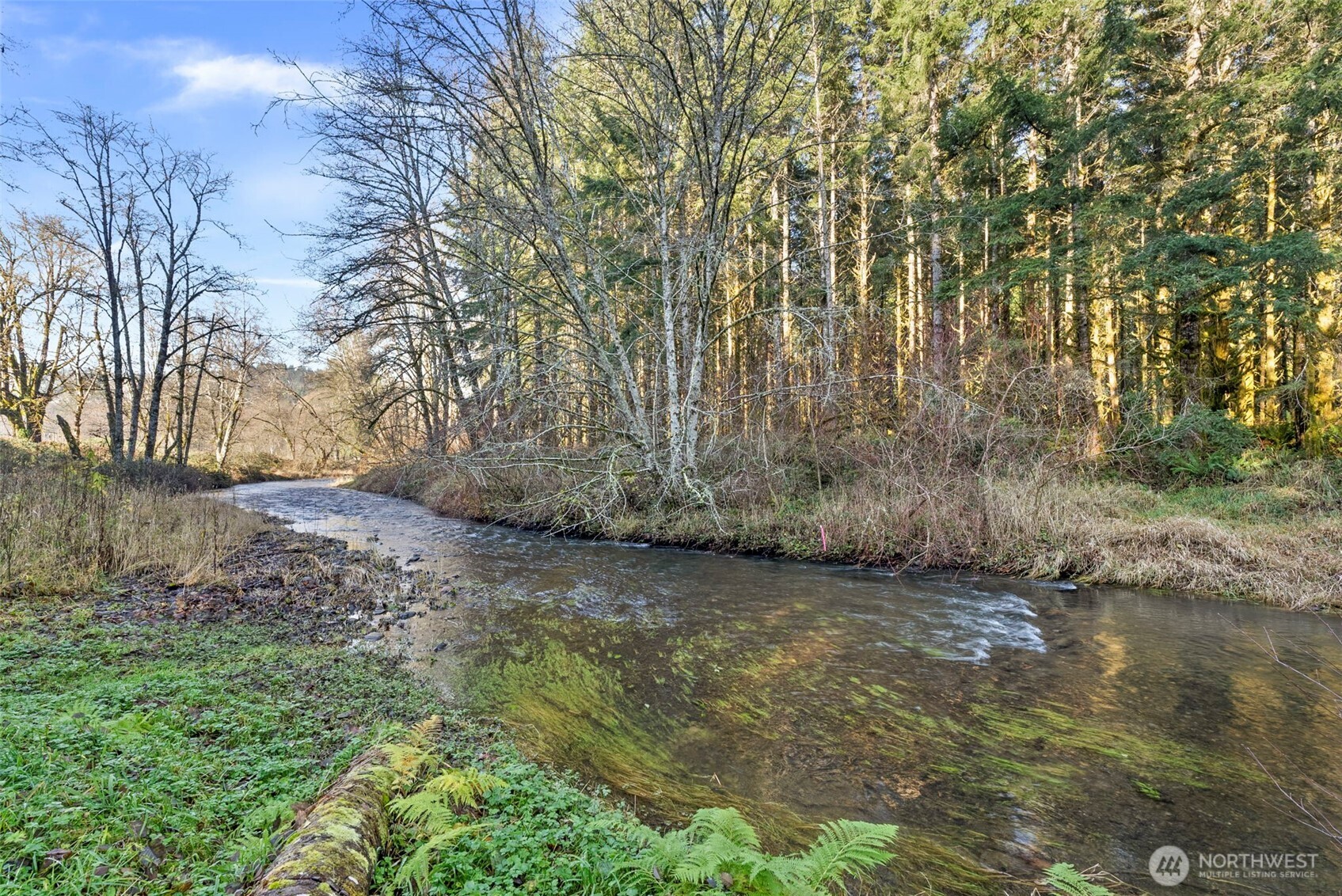Chehalis, Washington, 98532, United States, 2 Bedrooms Bedrooms, ,1 BathroomBathrooms,Residential,For Sale,2002631