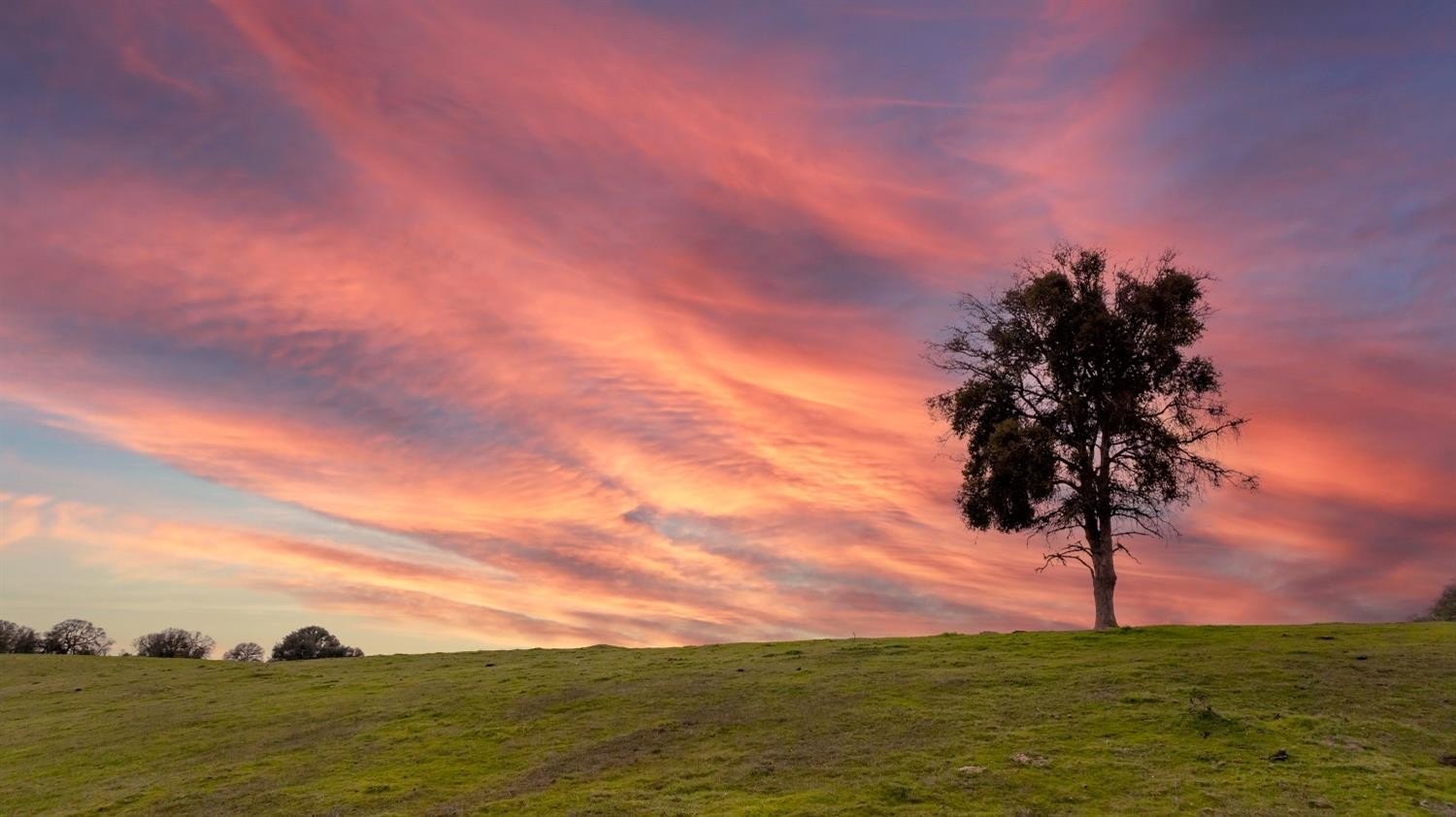Burson, California, 95225, United States, ,Residential,For Sale,1880944