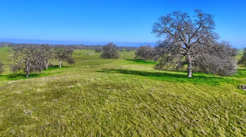 Madera, California, 93636, United States, ,Residential,For Sale,2014215