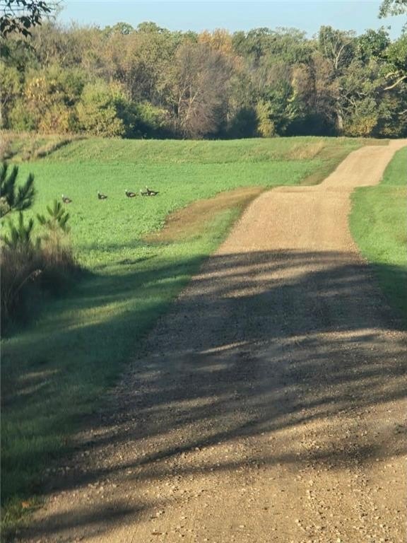 Parkers Prairie, Minnesota, 56361, United States, 6 Bedrooms Bedrooms, ,3 BathroomsBathrooms,Residential,For Sale,2026101