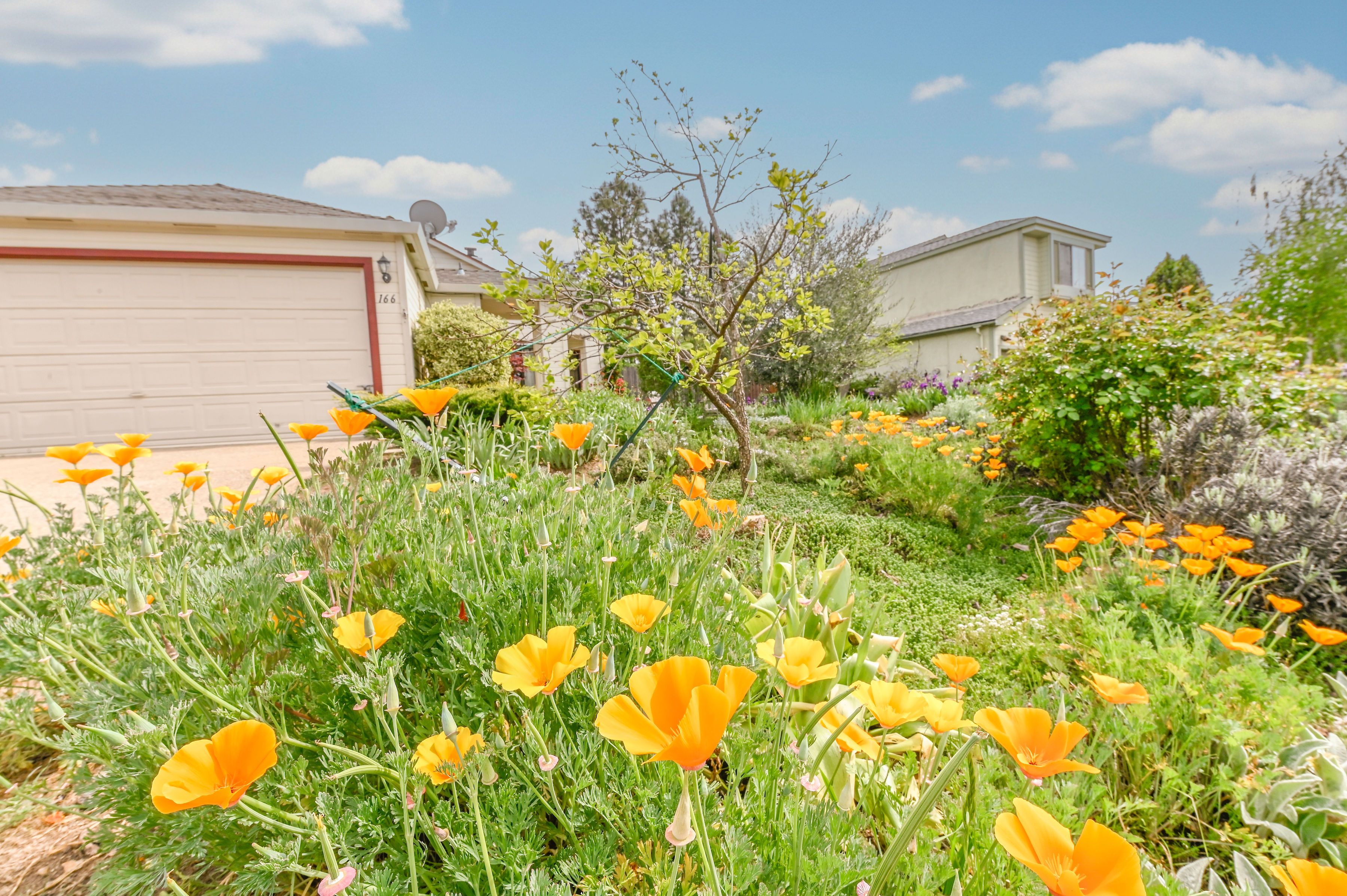  166 Placer Drive, Jackson, CA 95642 - 物件實景