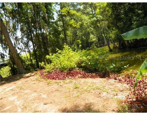 1515 US HIGHWAY 441, TAVARES, Florida, 32778, United States, ,Residential,For Sale,1515 US HIGHWAY 441,1008676