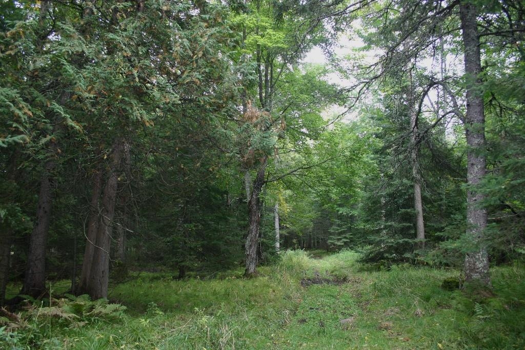 Butternut, Wisconsin, 54514, United States, ,Residential,For Sale,1921385