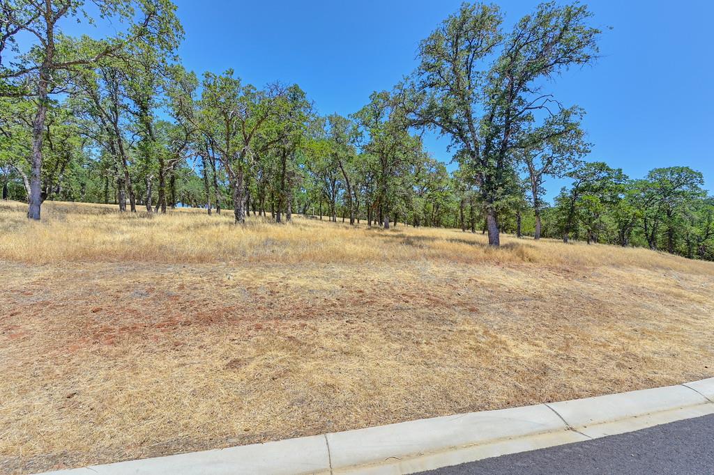 El Dorado Hills, California, 95762, United States, ,Land,For Sale,1874458
