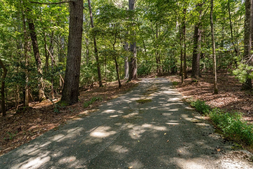 Ellijay, Georgia, 30536, United States, 4 Bedrooms Bedrooms, ,3 BathroomsBathrooms,Residential,For Sale,1926497