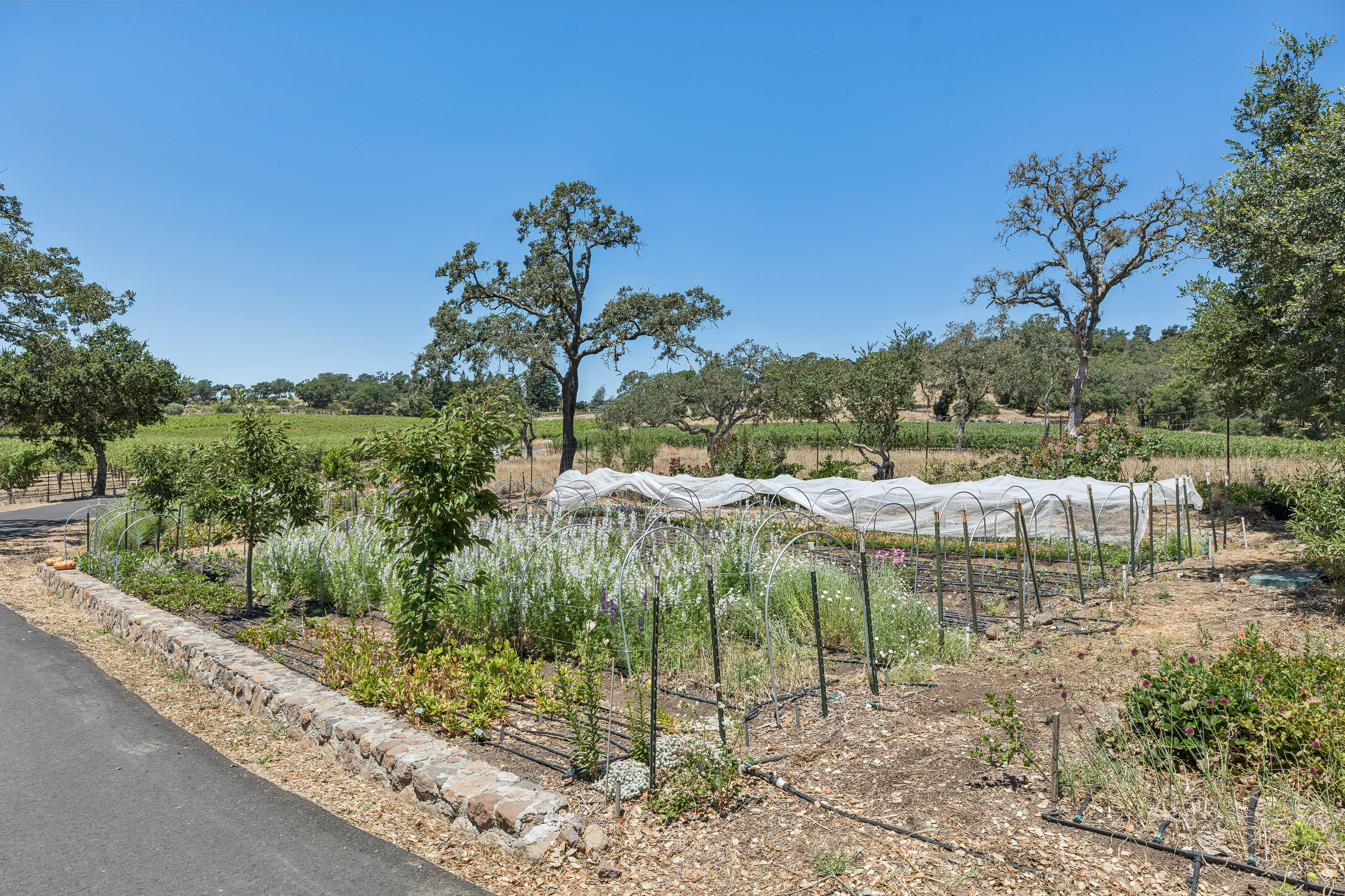  Refined Wine Country Estate - 物件實景