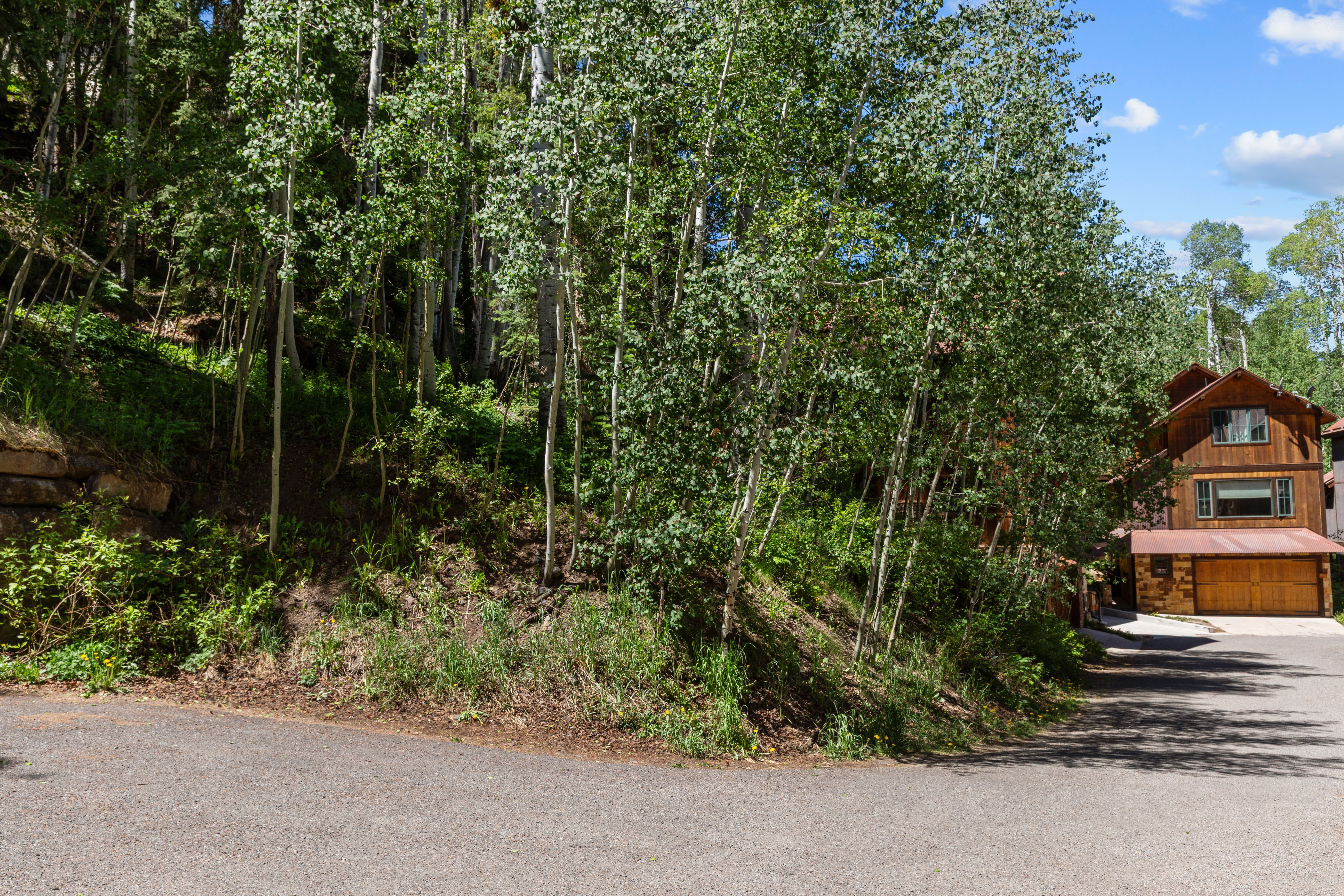  Private Homesite in Telluride - Walk-to-Ski - 物件實景