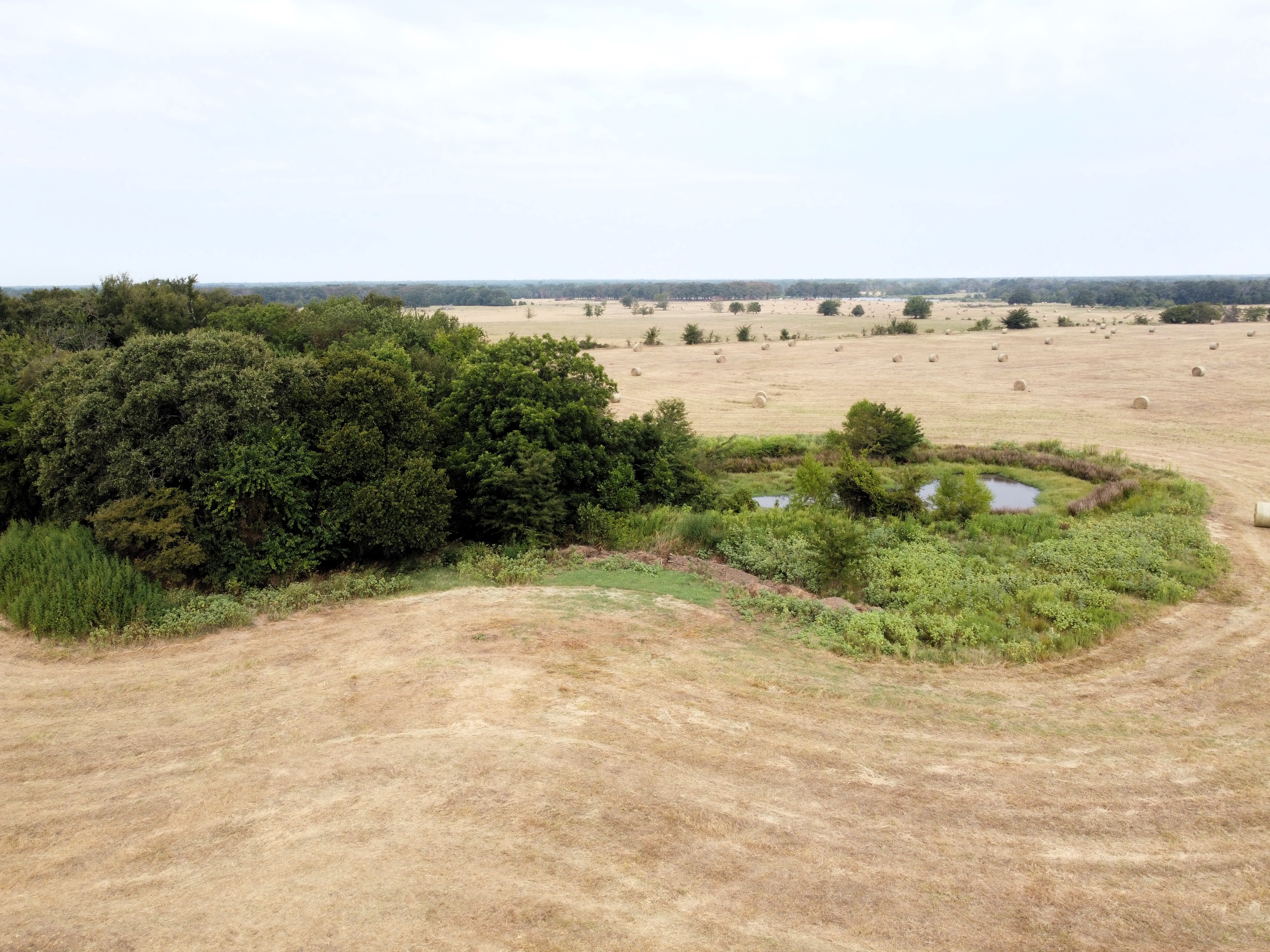 Cumby, Texas, 75433, United States, ,Land,For Sale,1987346