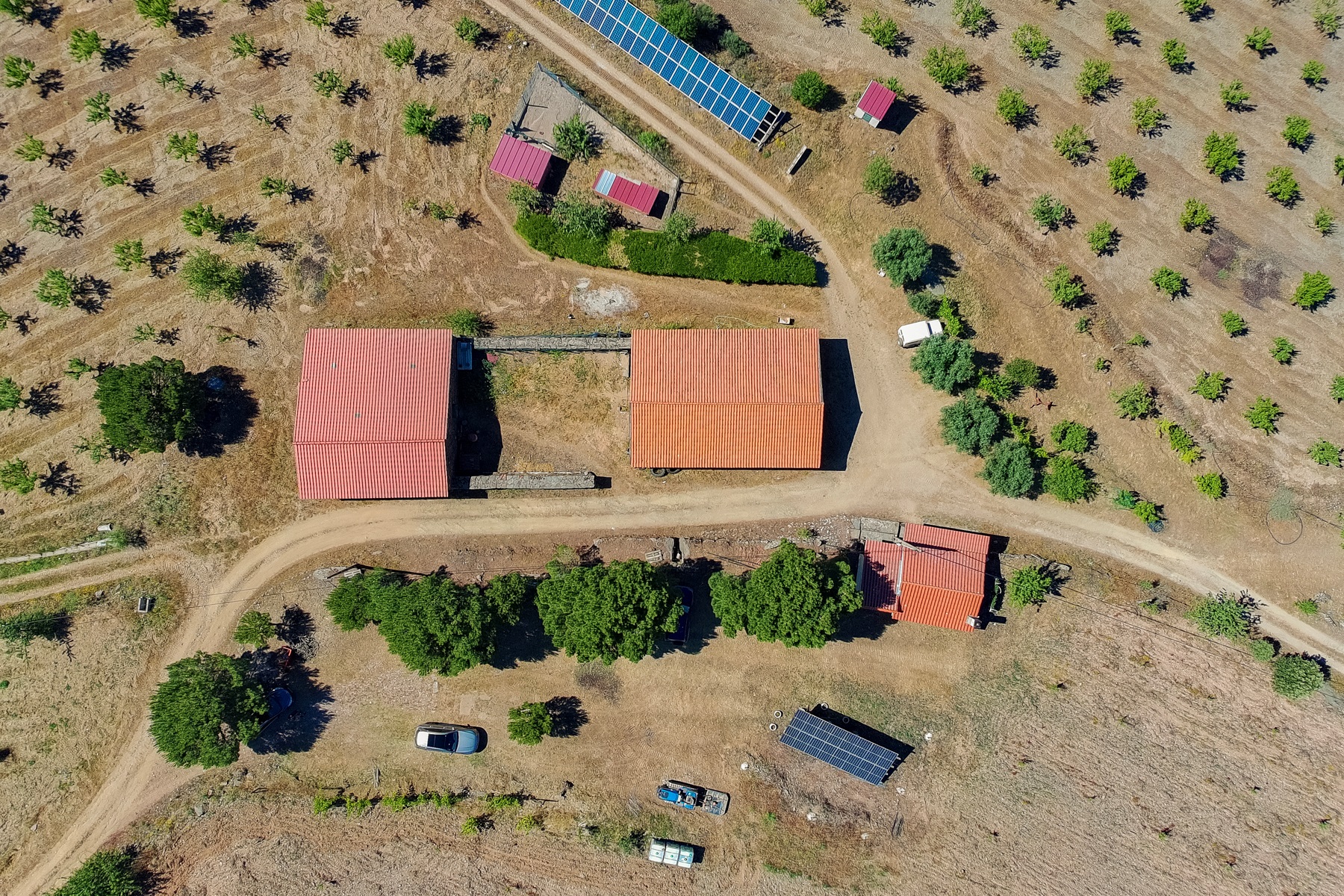  Country Estate for Sale - 物件實景