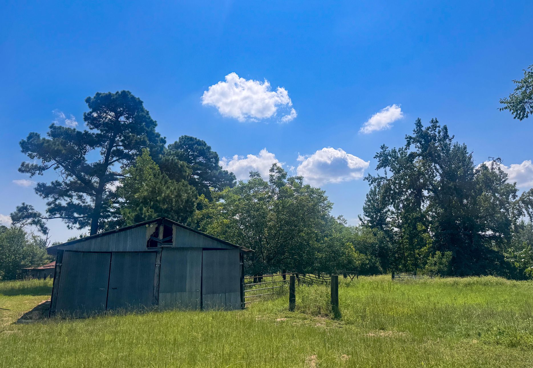 Douglassville, Texas, 75560, United States, 4 Bedrooms Bedrooms, ,3 BathroomsBathrooms,Residential,For Sale,1914297