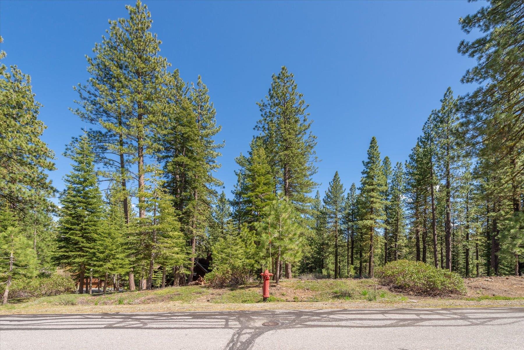 Truckee, California, 96161, United States, ,Land,For Sale,1828145