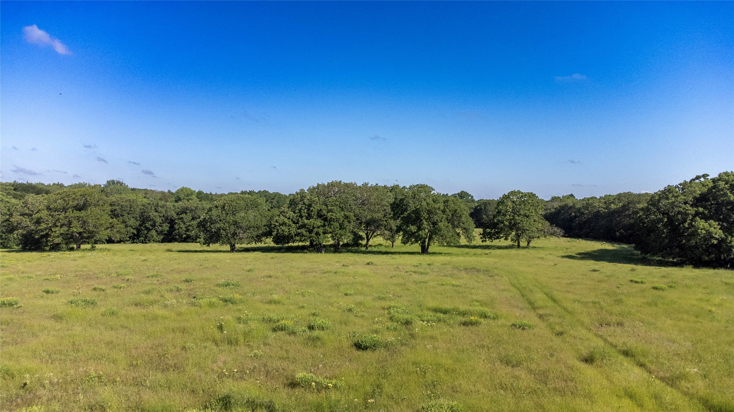 Sadler, Texas, 76264, United States, ,Land,For Sale,1837426