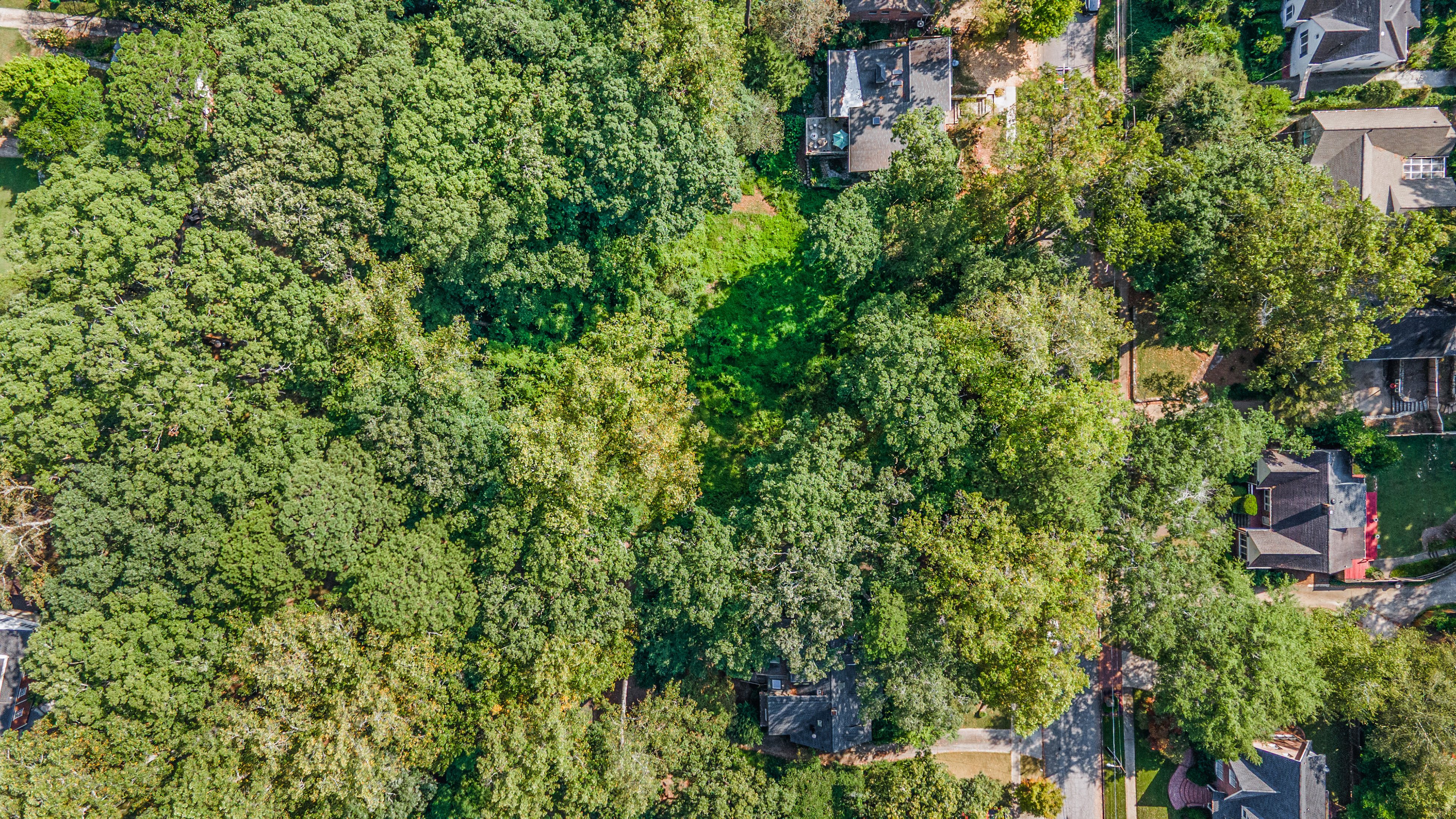  Three Contiguous Lots for New Construction in Historic Druid Hills - 物件實景
