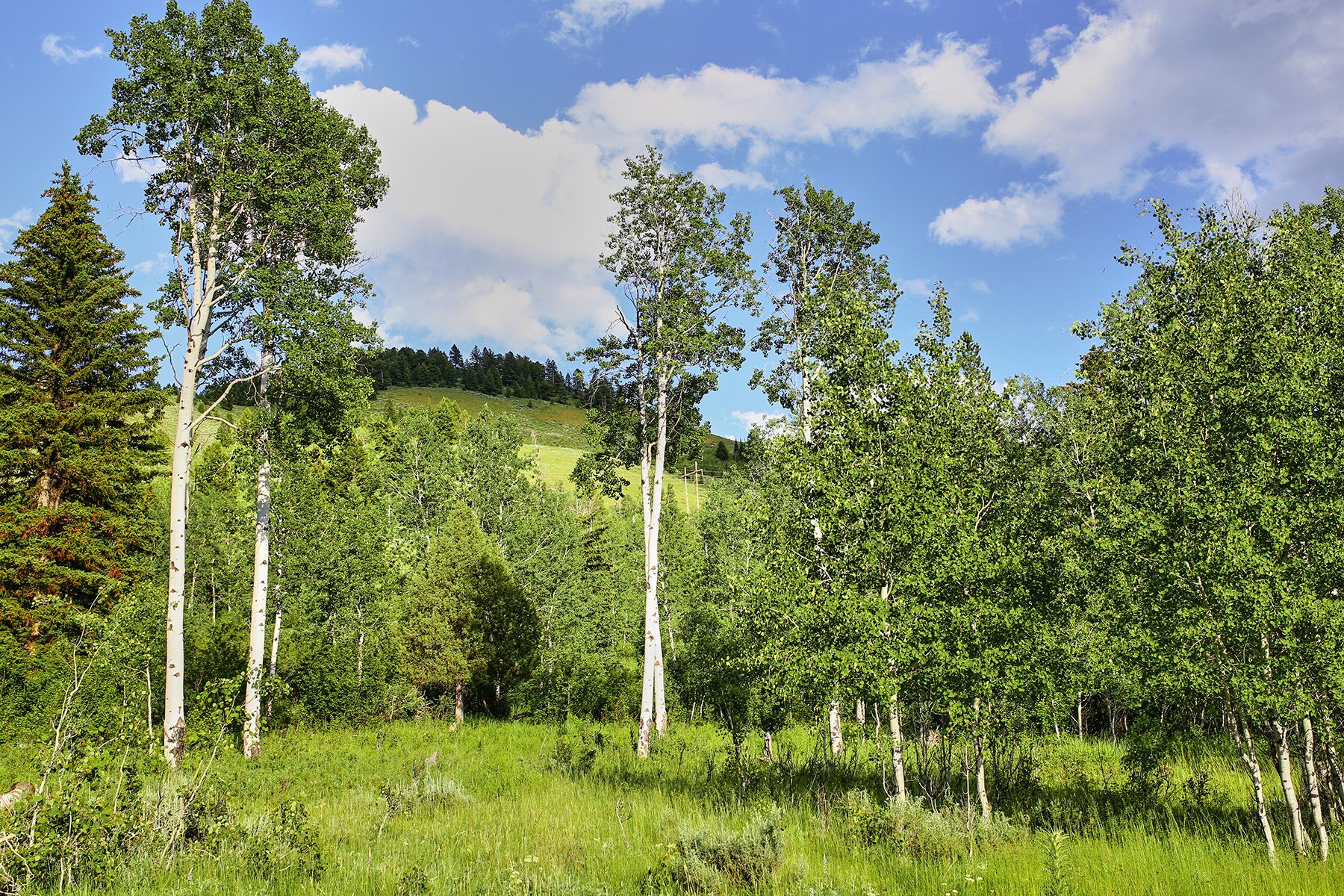  Snake River Sporting Club Lot - 物件實景