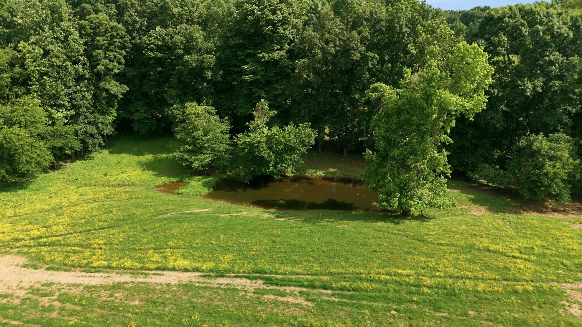  925 Sumac Rd, Pulaski, TN, 38478 - 物件實景