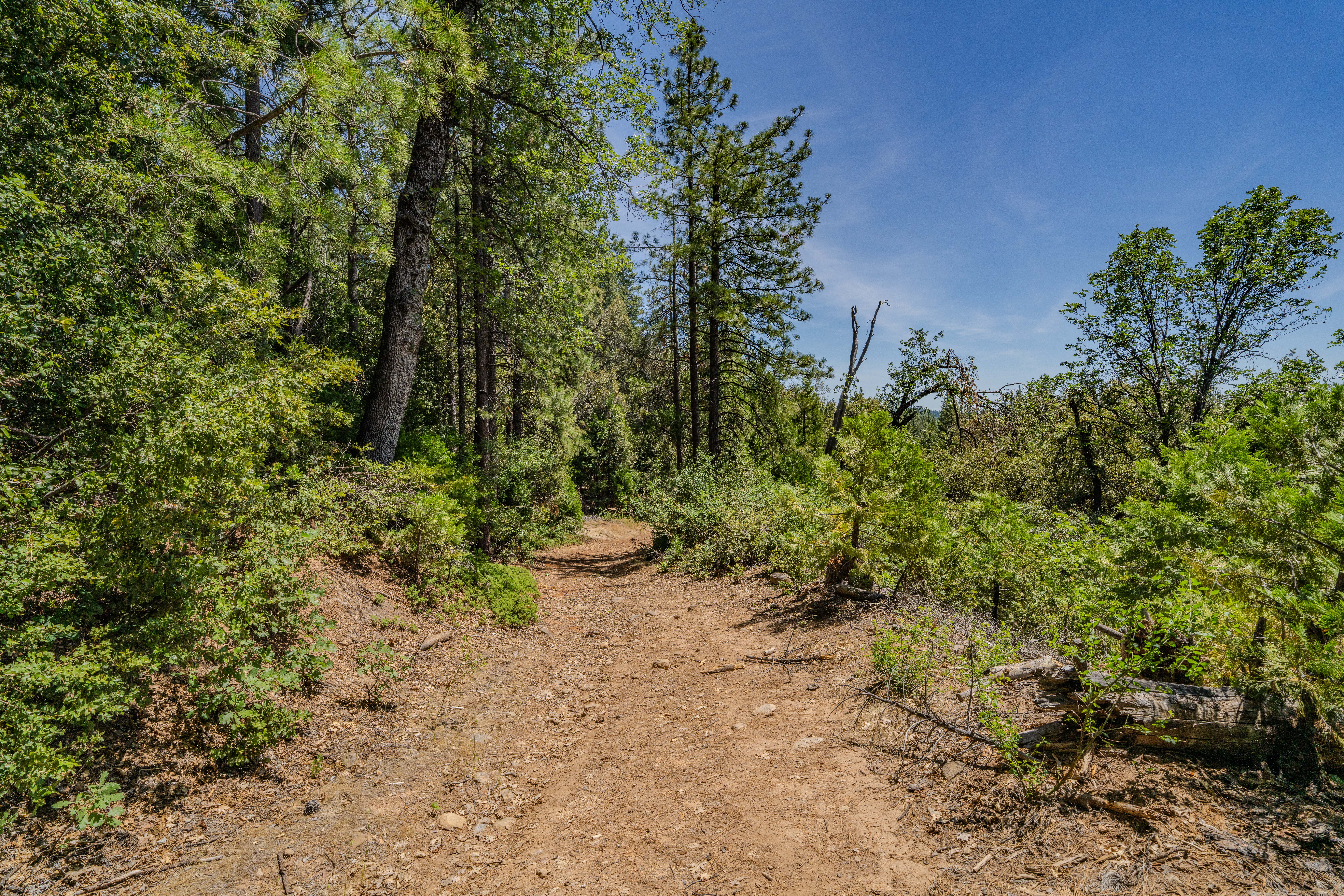  24100 Canterbury Road, Pioneer, CA 95666 - 物件實景