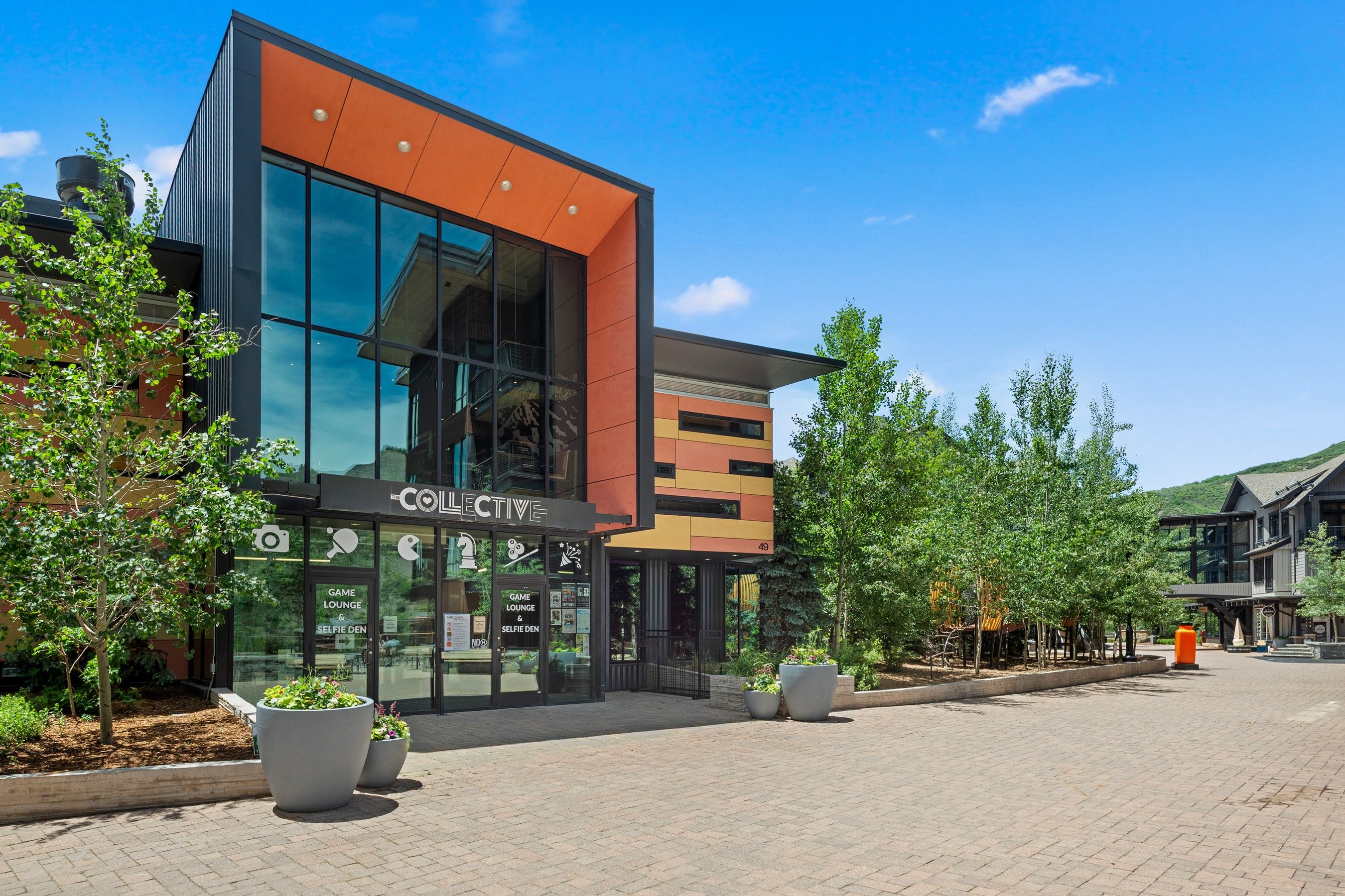  90 Carriage Way, Snowmass Village, CO, 81615 - 物件實景