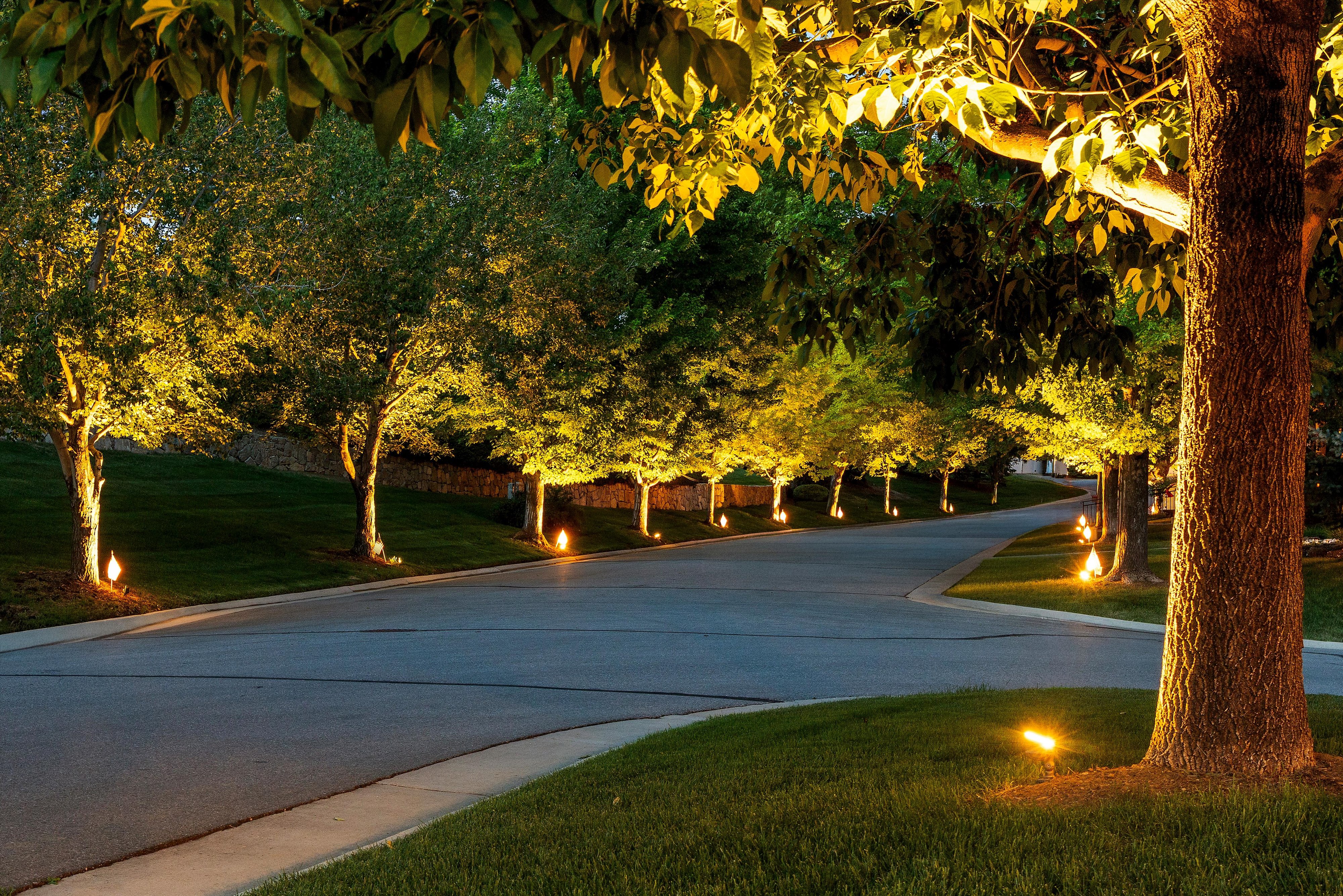  Luxury Features, Thoughtful Upgrades And Beautiful Outdoor Space - 物件實景