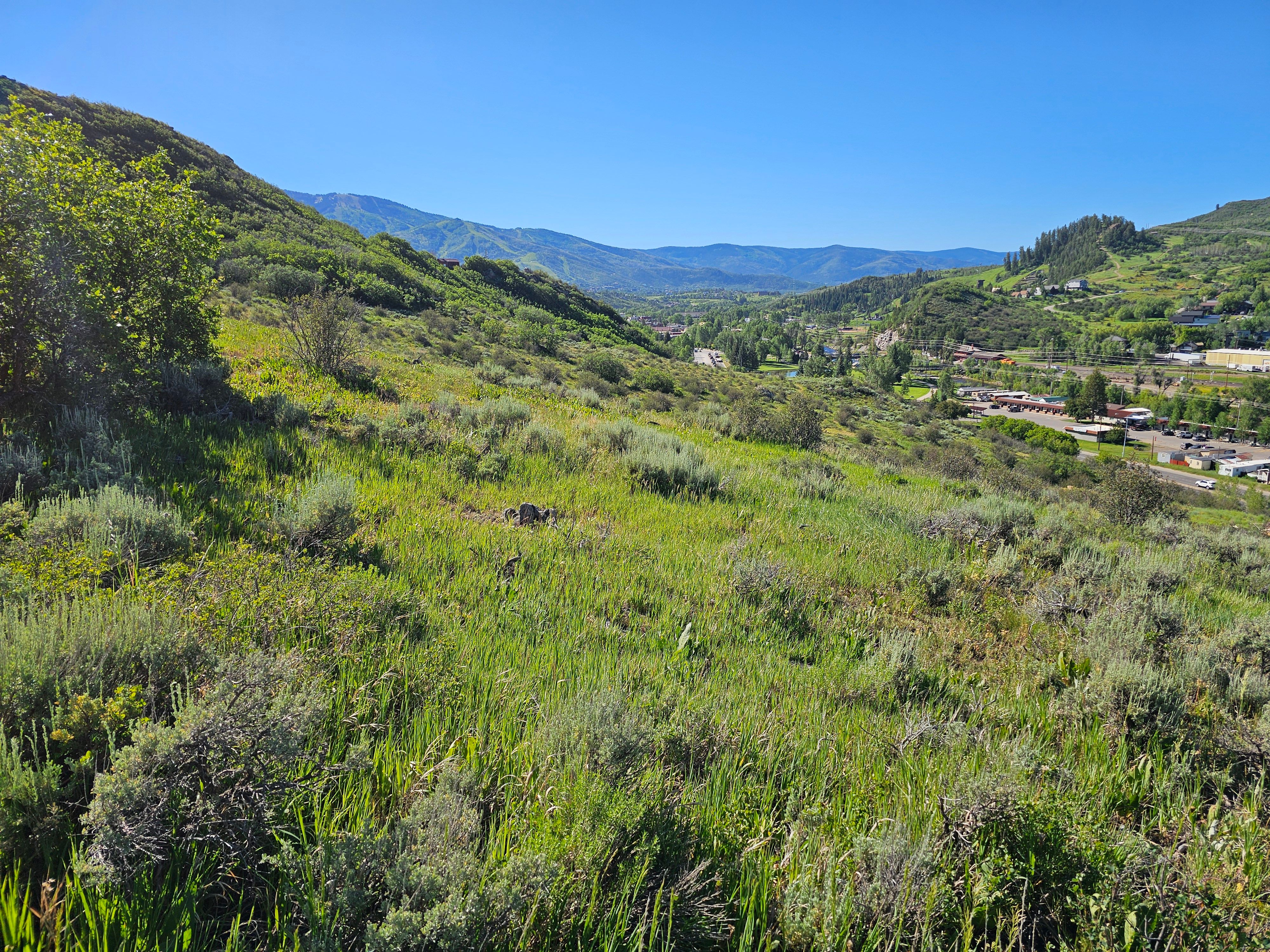  1327 Indian Trail, Steamboat Springs, CO, 80487 - 物件實景