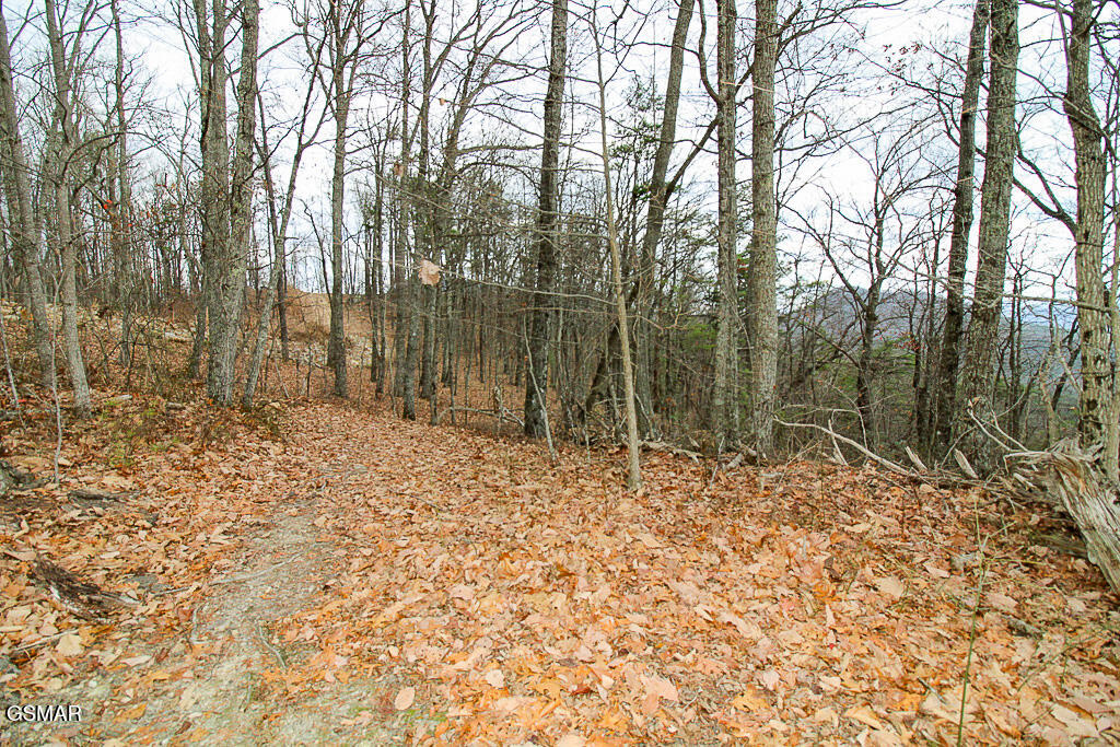 Sevierville, Tennessee, 37876, United States, ,Land,For Sale,2008093
