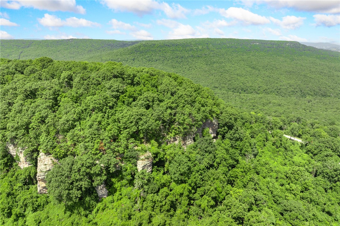 Harrison, Arkansas, 72601, United States, ,Land,For Sale,1903460
