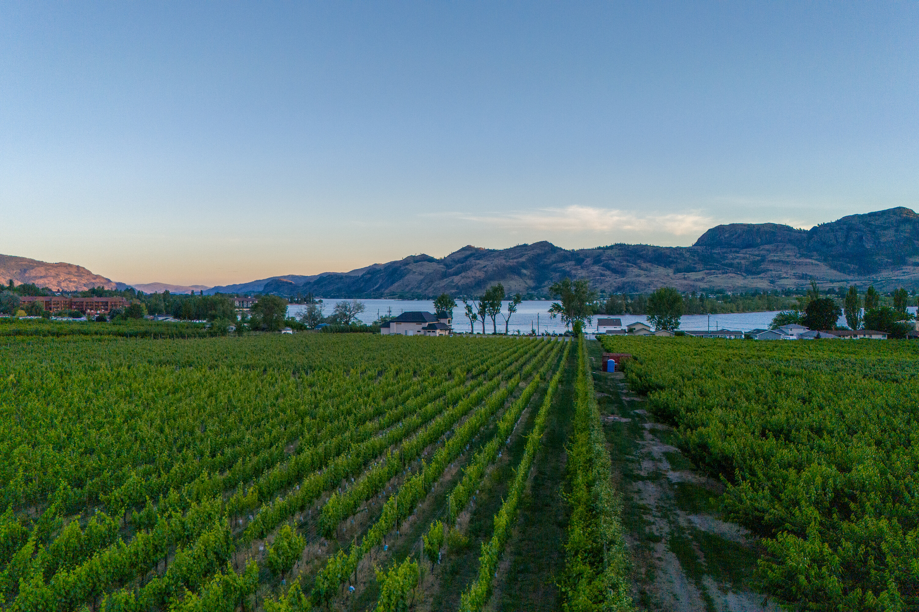  Lakefront Winery Receivership - 物件實景
