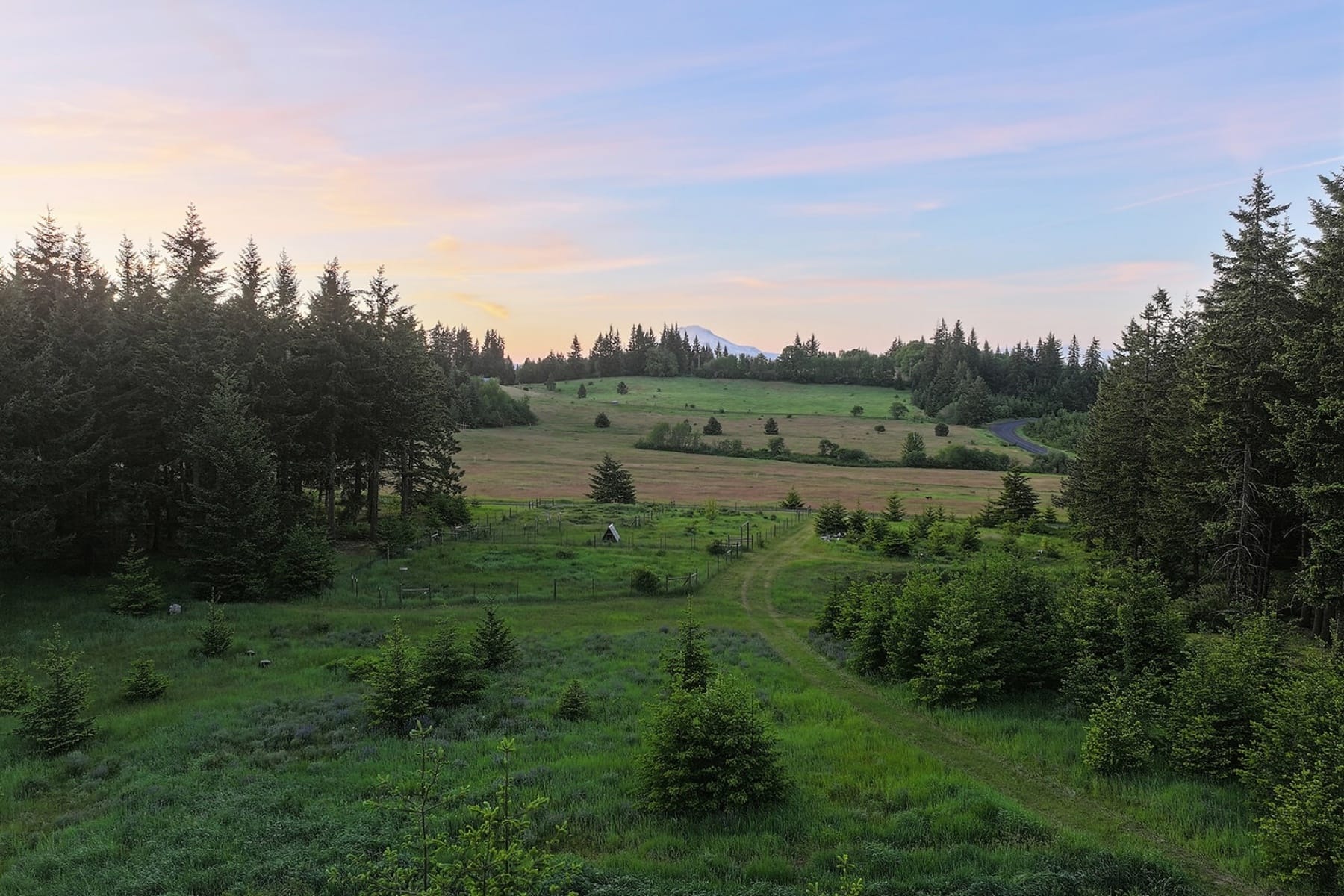  99 TUNNEL RD White Salmon, WA 98672 - 物件實景