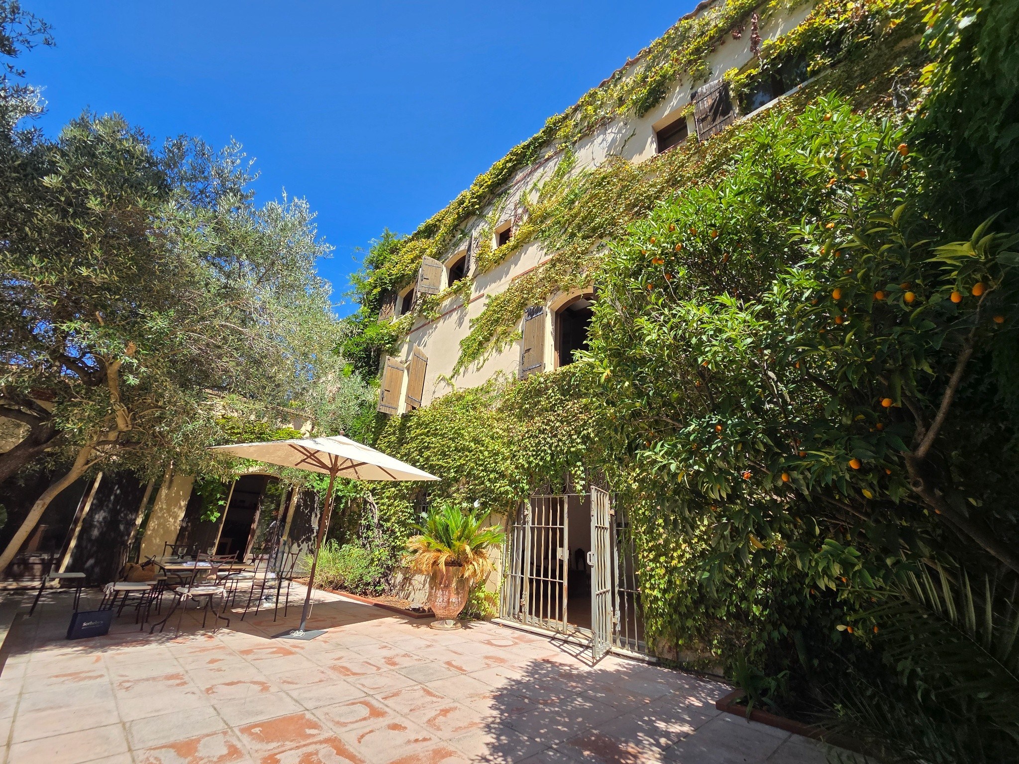  LA BELLE ENDORMIE – ON THE DOORSTEP OF PERPIGNAN - 物件實景