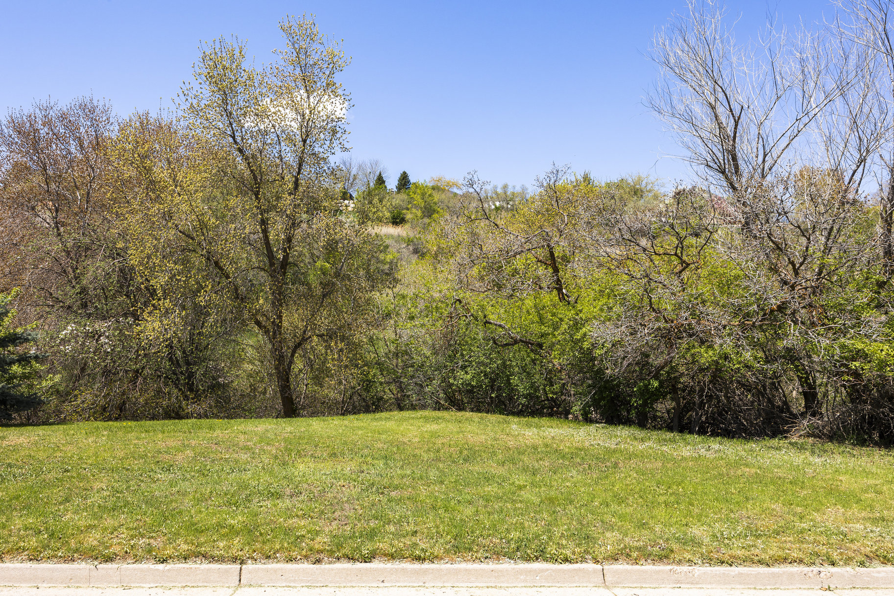  1.47 Acre Lot In East Layton With Endless Possibilities - 物件實景