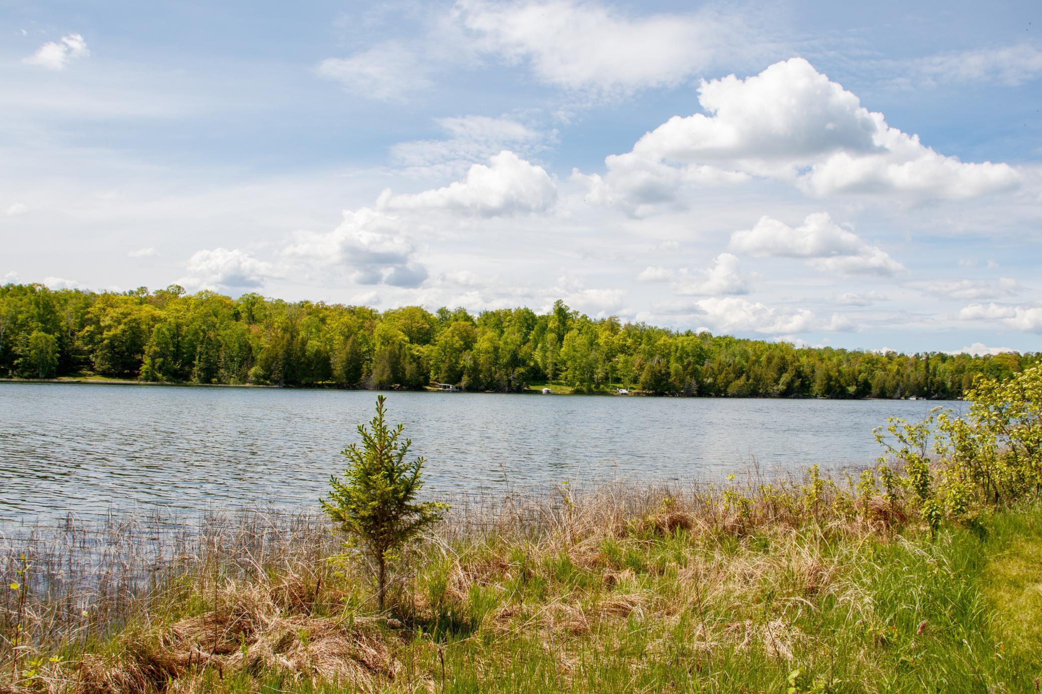 Slater Twp, Minnesota, 56672, United States, ,Land,For Sale,1837224