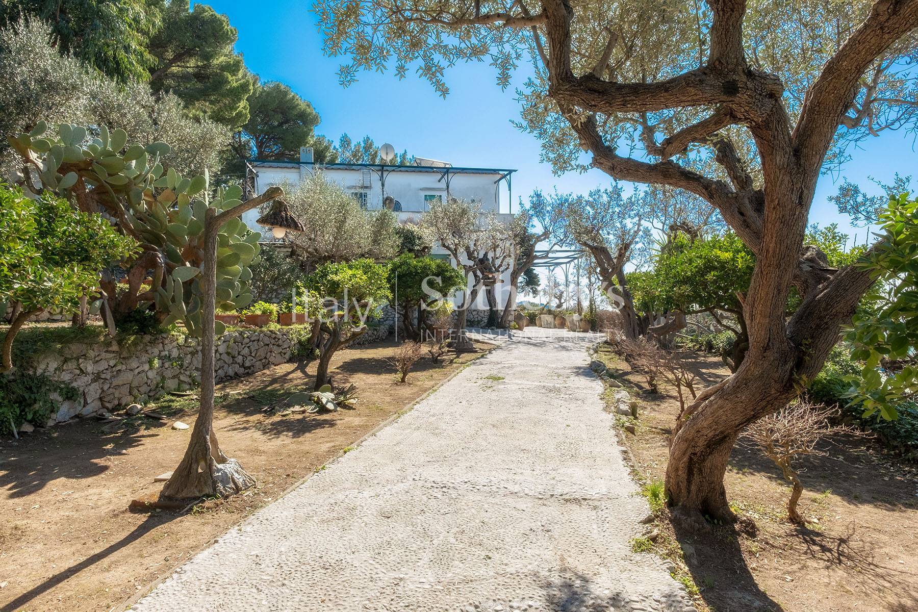  Wonderful villa with garden and seaview in Anacapri - 物件實景