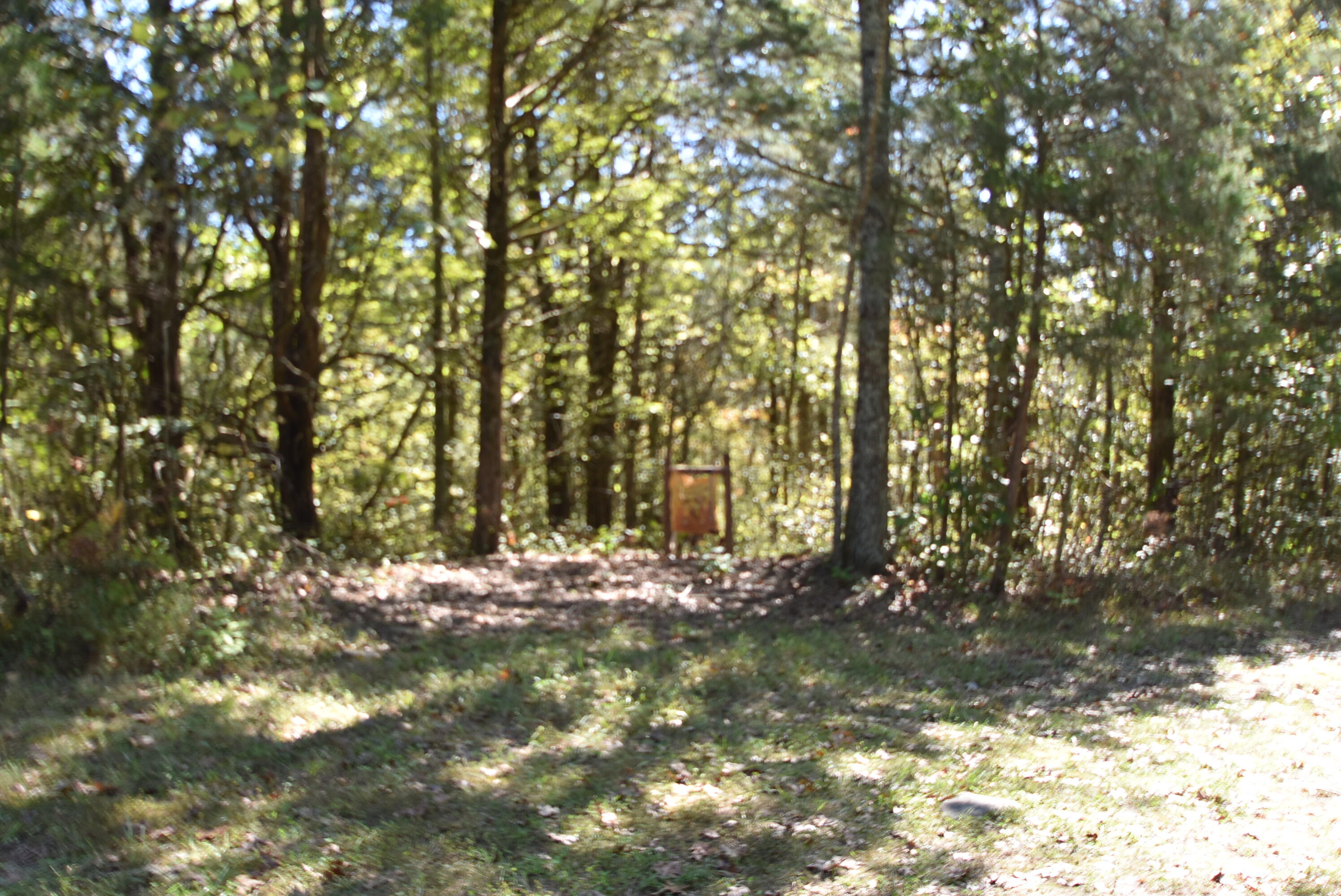 Willisburg, Kentucky, 40078, United States, 4 Bedrooms Bedrooms, ,1 BathroomBathrooms,Residential,For Sale,1962831