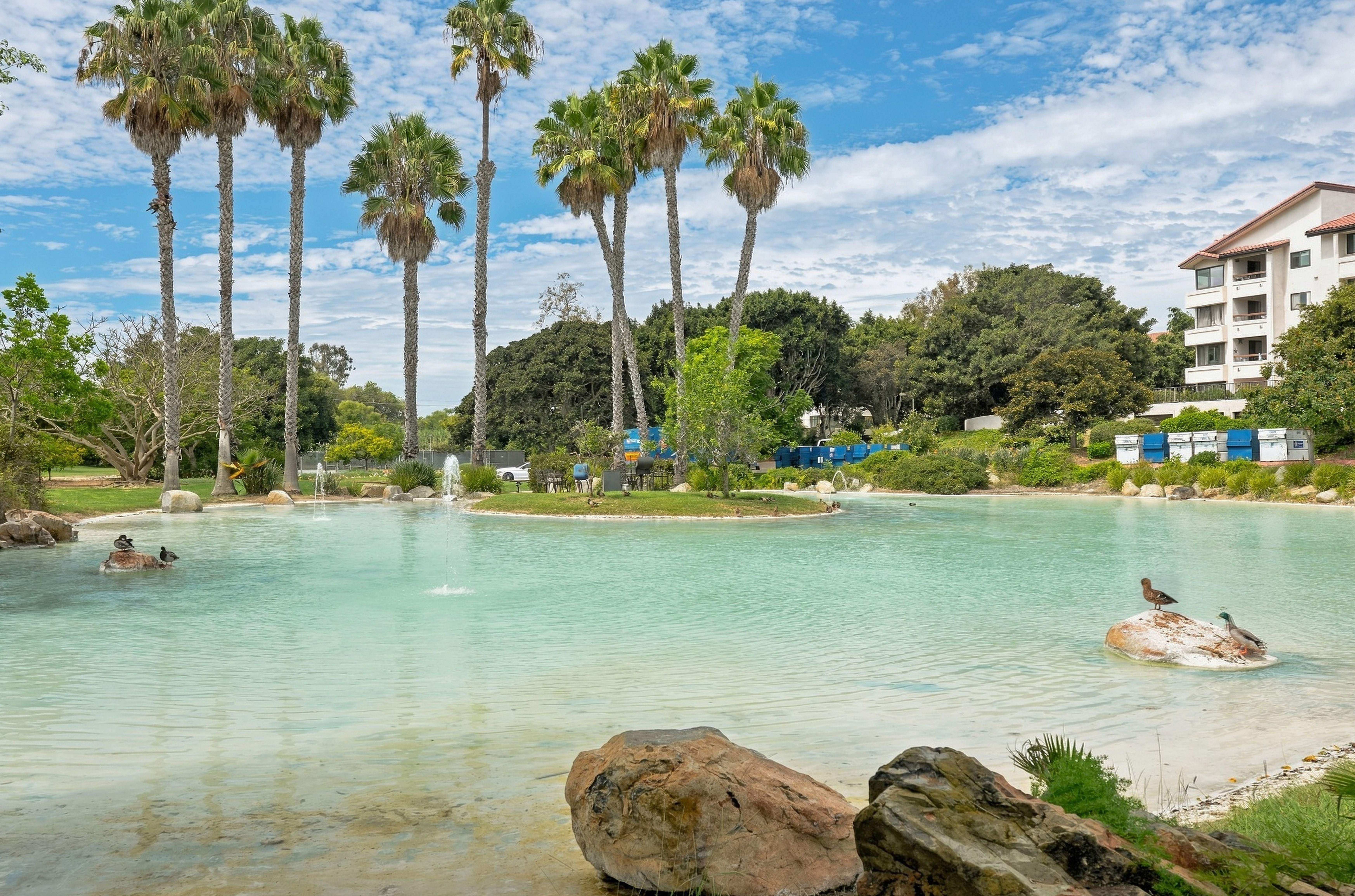  5645 Friars Road Unit 384, San Diego, CA 92110 - 物件實景