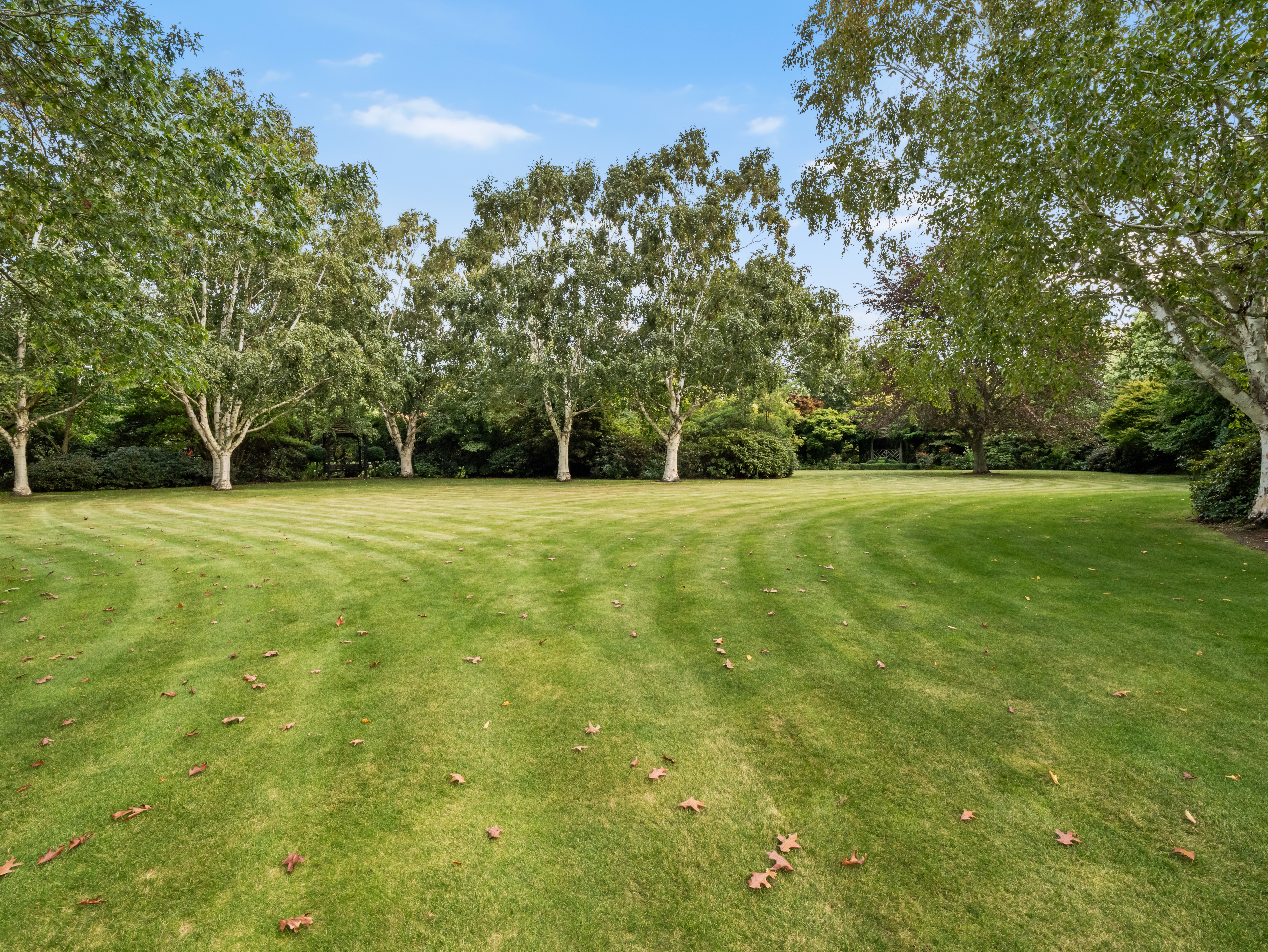 Seller Heading North - 物件實景