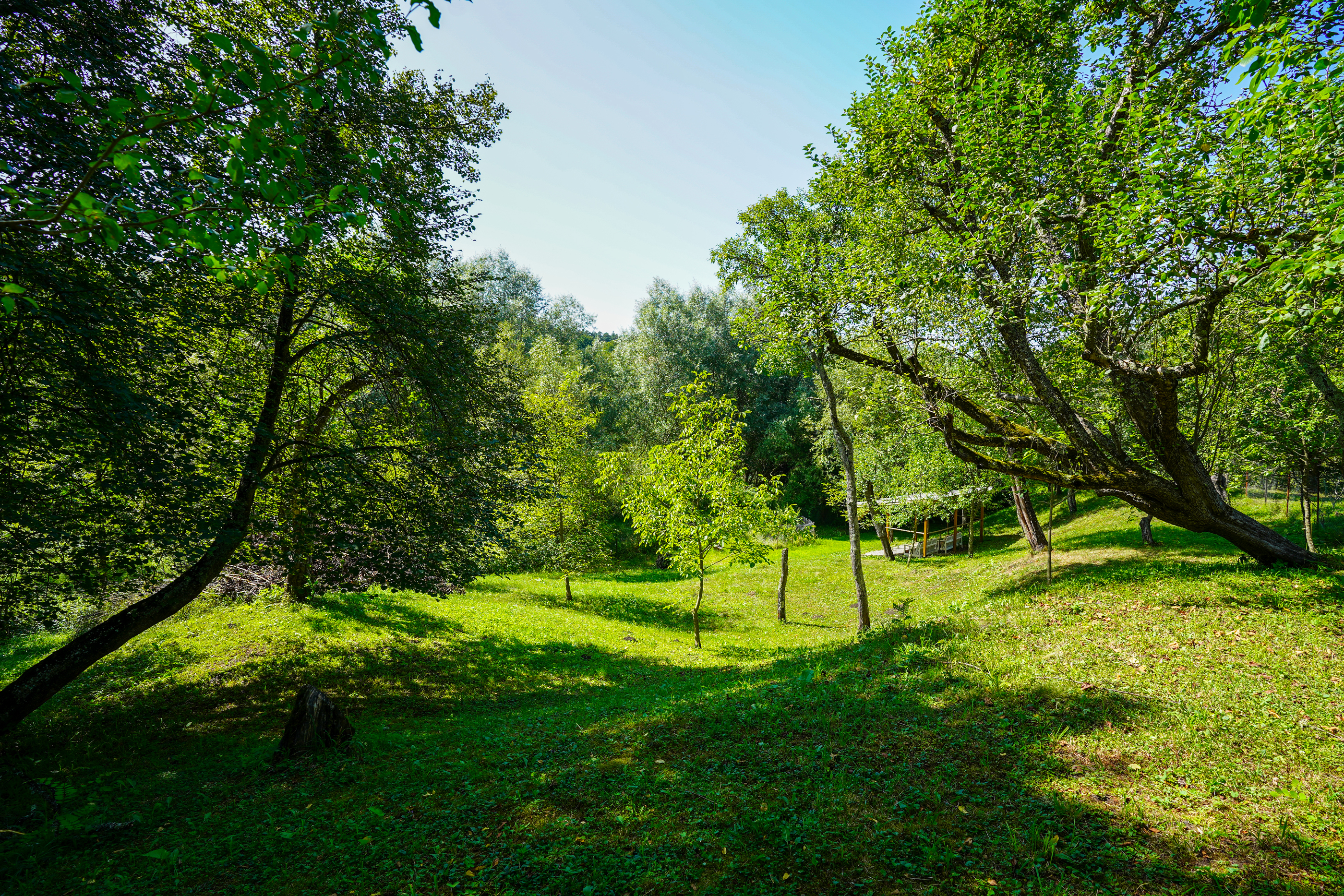  Restored Authentic Saxon House in Viscri, Between Heritage and Nature - 物件實景