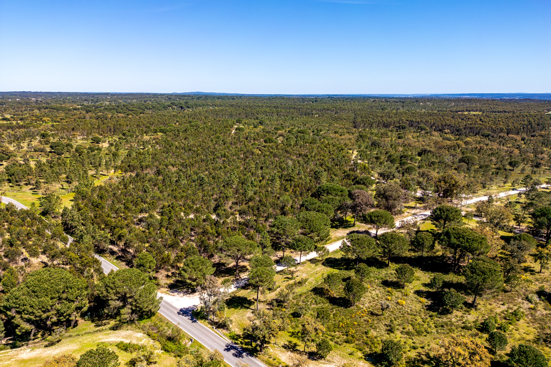  Stand for Sale - 物件實景