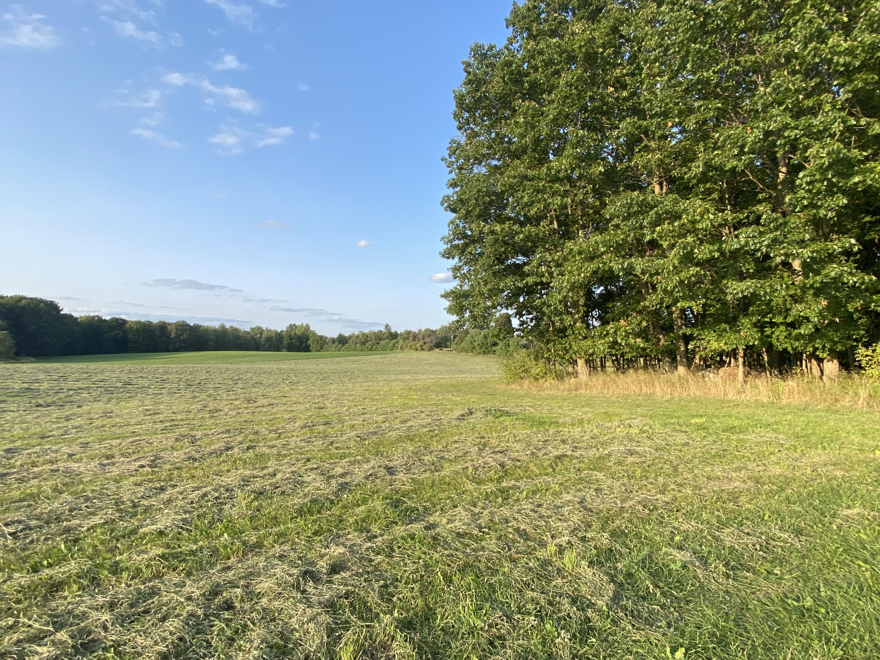 Lakeview, Michigan, 48850, United States, ,Land,For Sale,1942163
