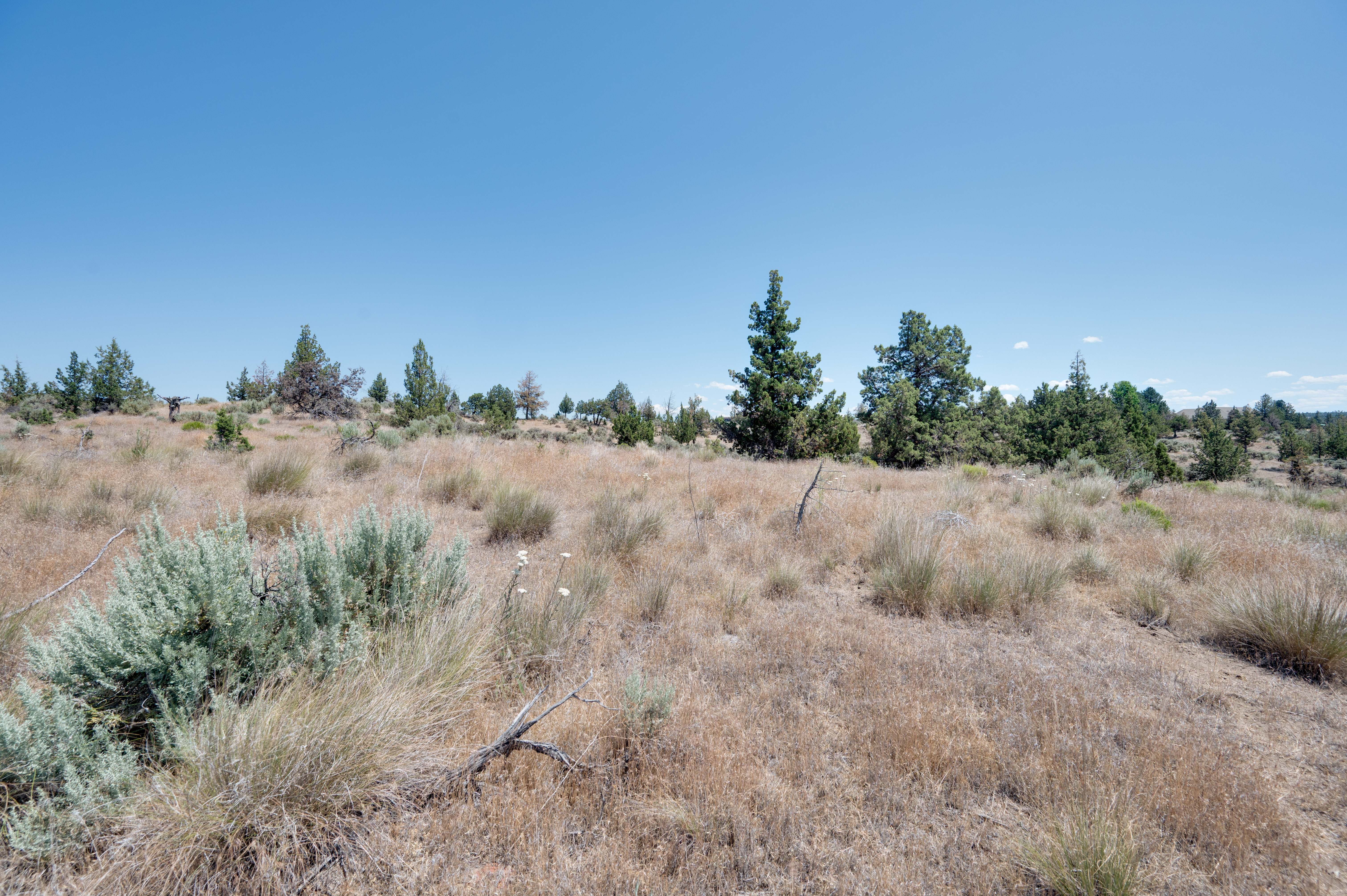 Madras, Oregon, 97741, United States, ,Land,For Sale,1874137