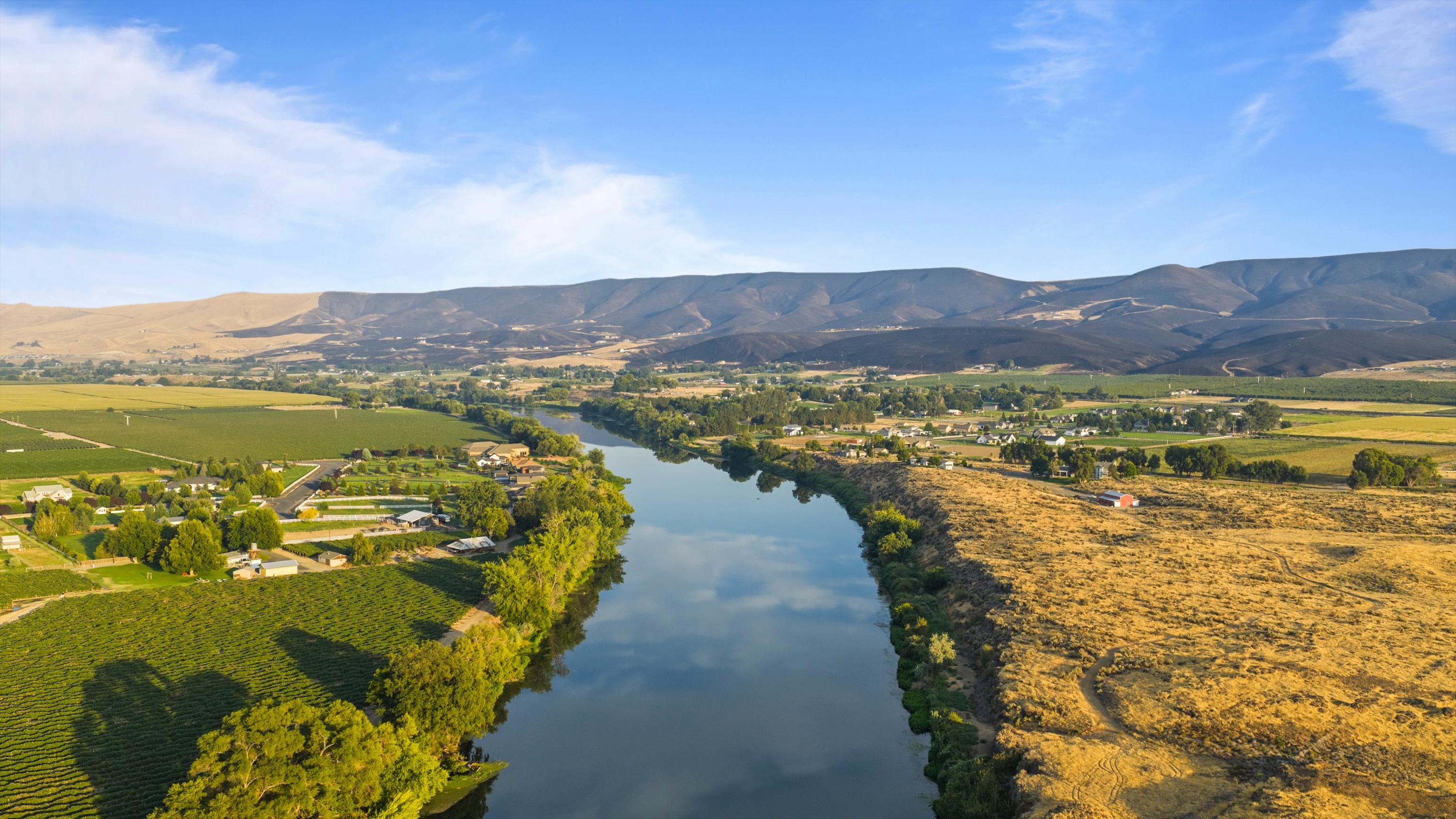  1036 Lower County Line Road, Prosser, WA 99350 - 物件實景